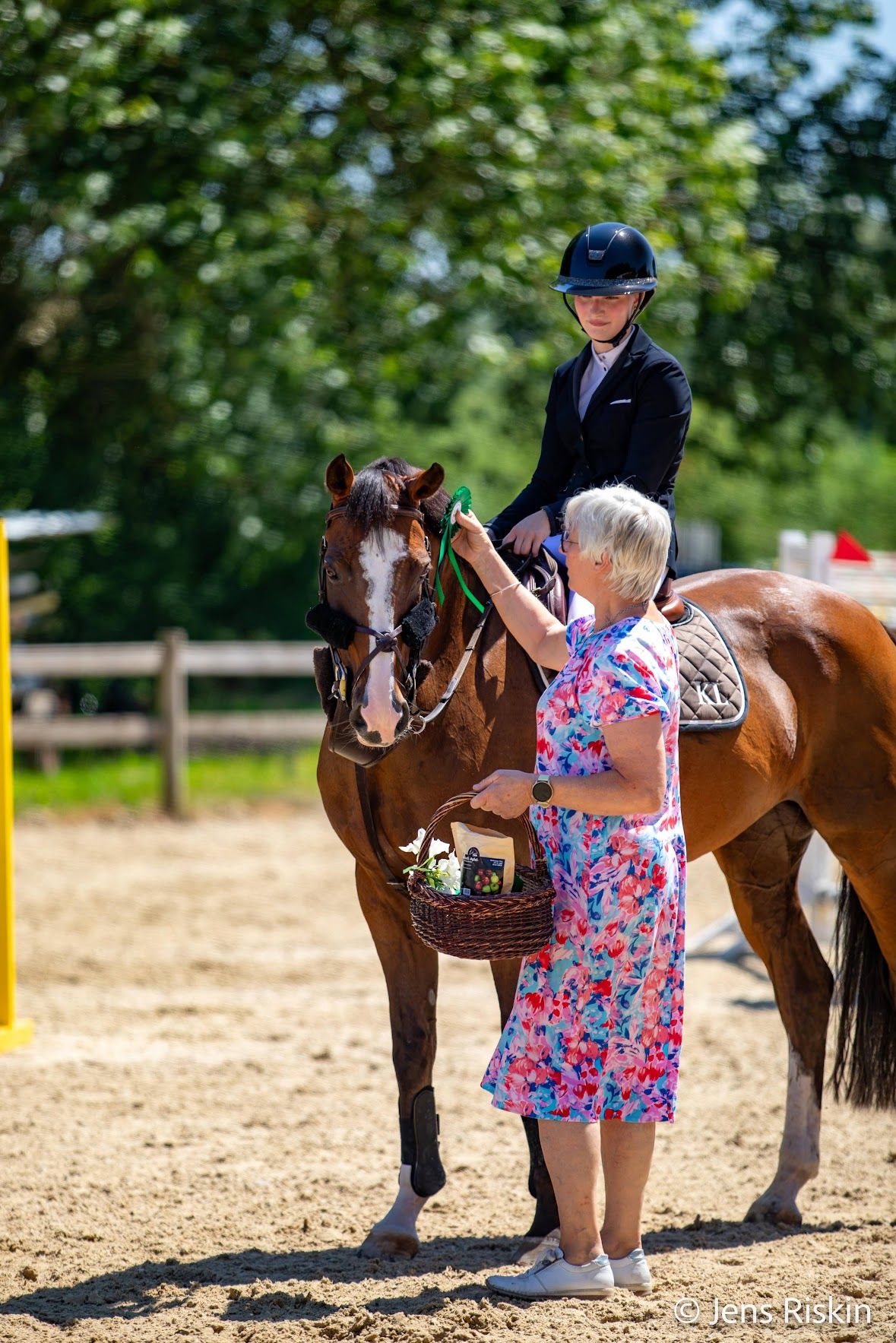 sbs springpaard merrie 11 jaar bruin te koop - Foto 4