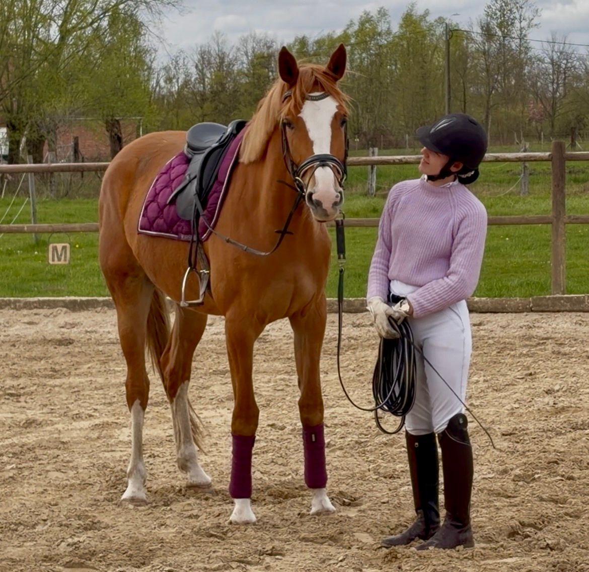 Talented 3-year-old jumping mare
