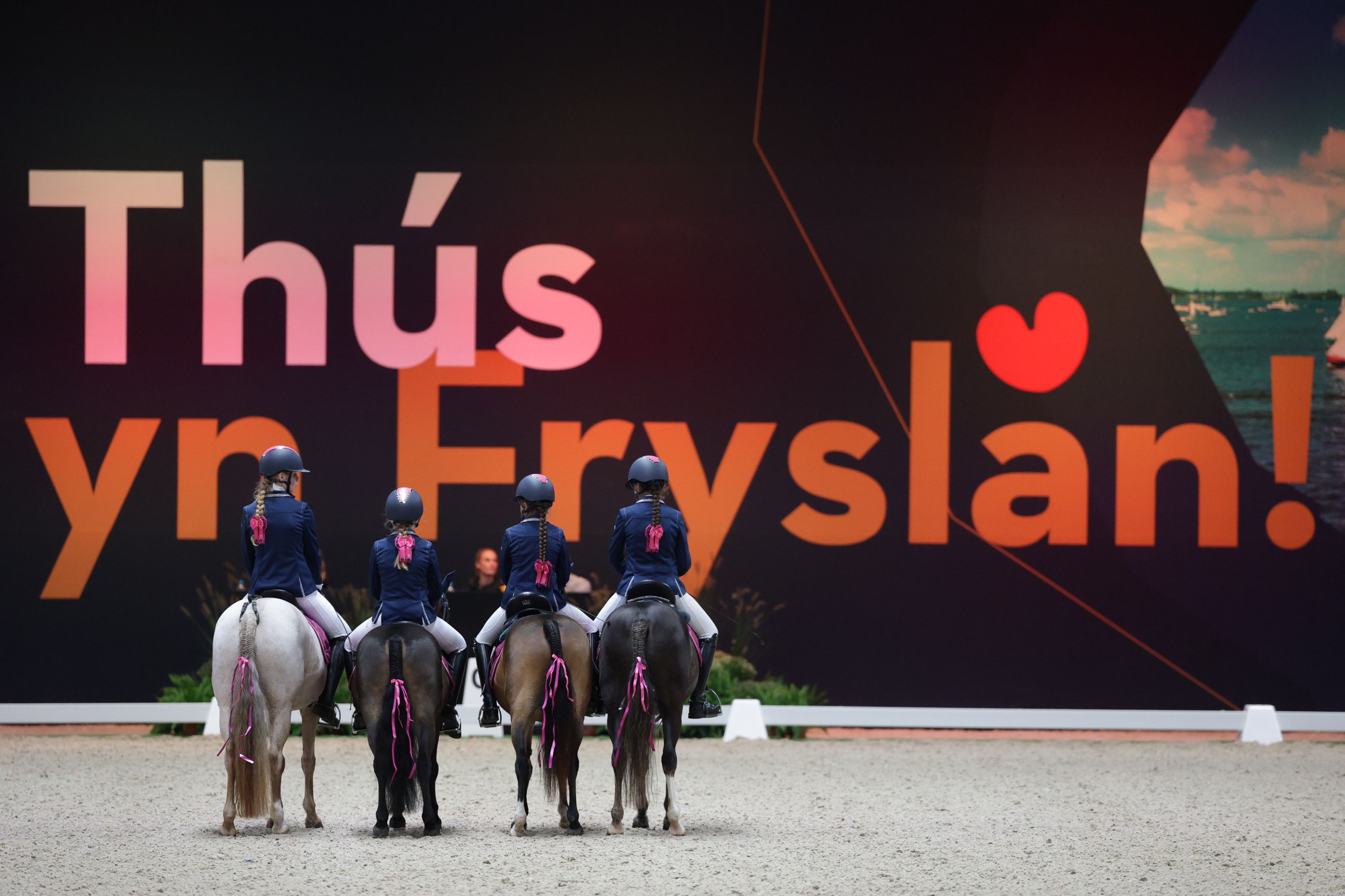 welsh dressuurpony ruin 11 Jahre alt vos zu verkaufen - Foto 6