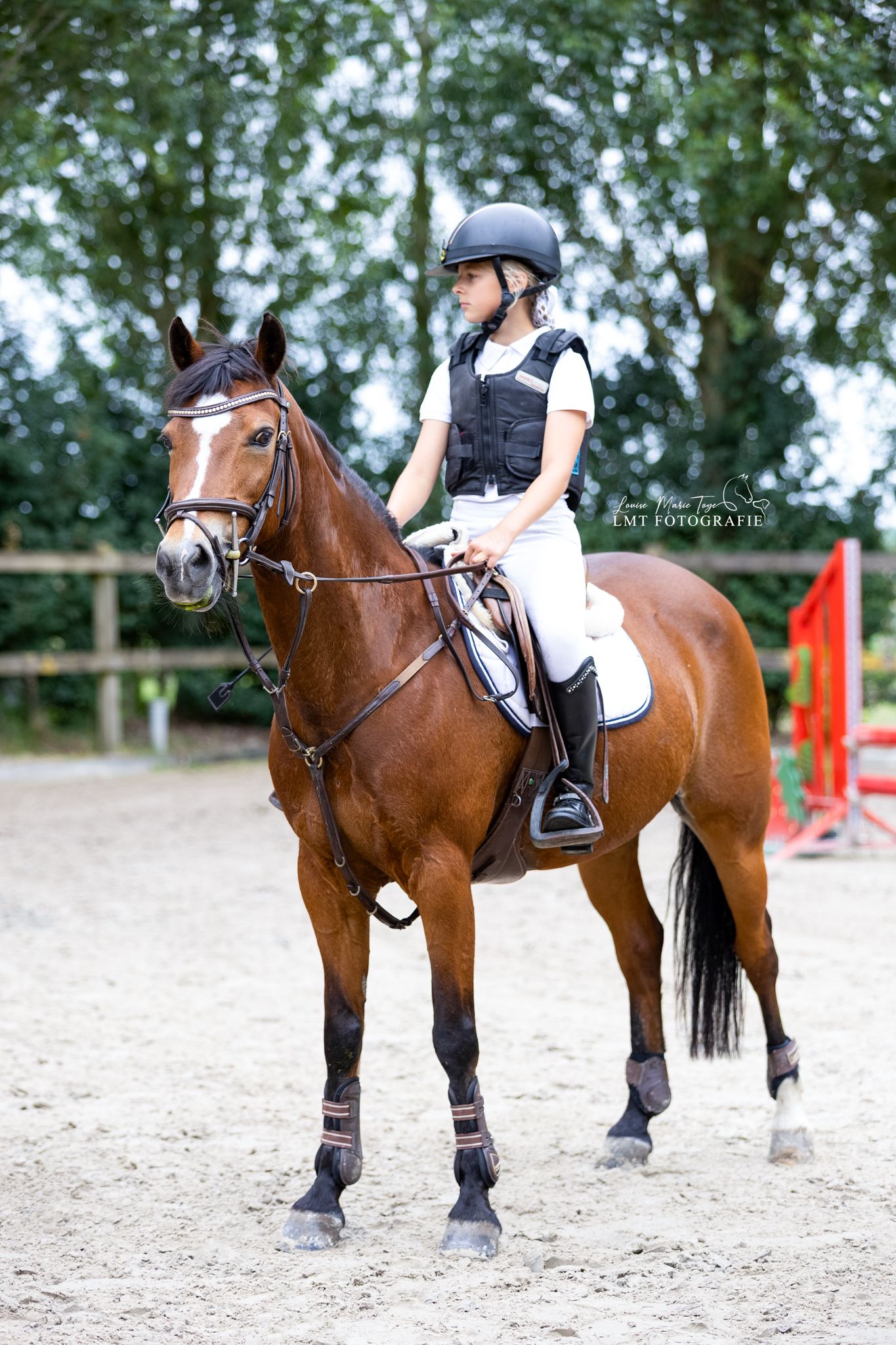 Reliable schoolmaster for sale
