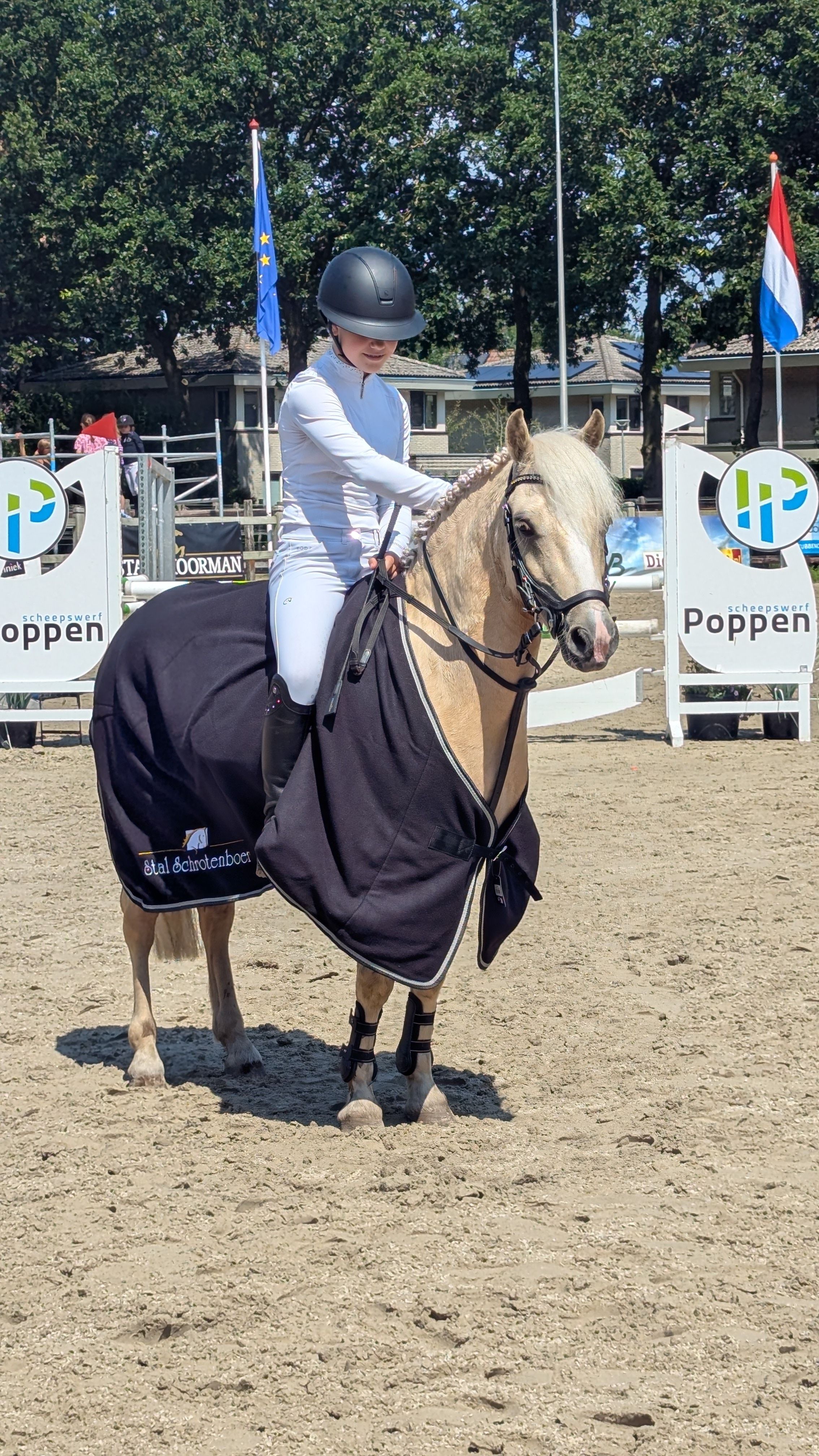 ander allround-pony ruin 4 anos palomino à venda - Foto 5