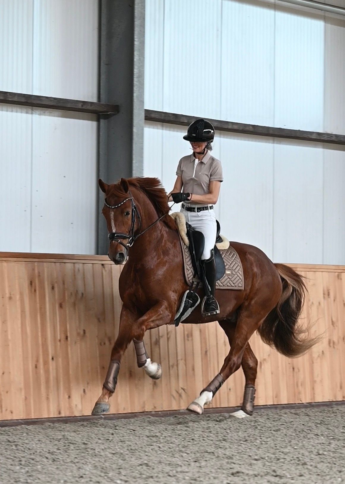 kwpn dressuurpaard ruin 4 anos vos à venda - Foto 3