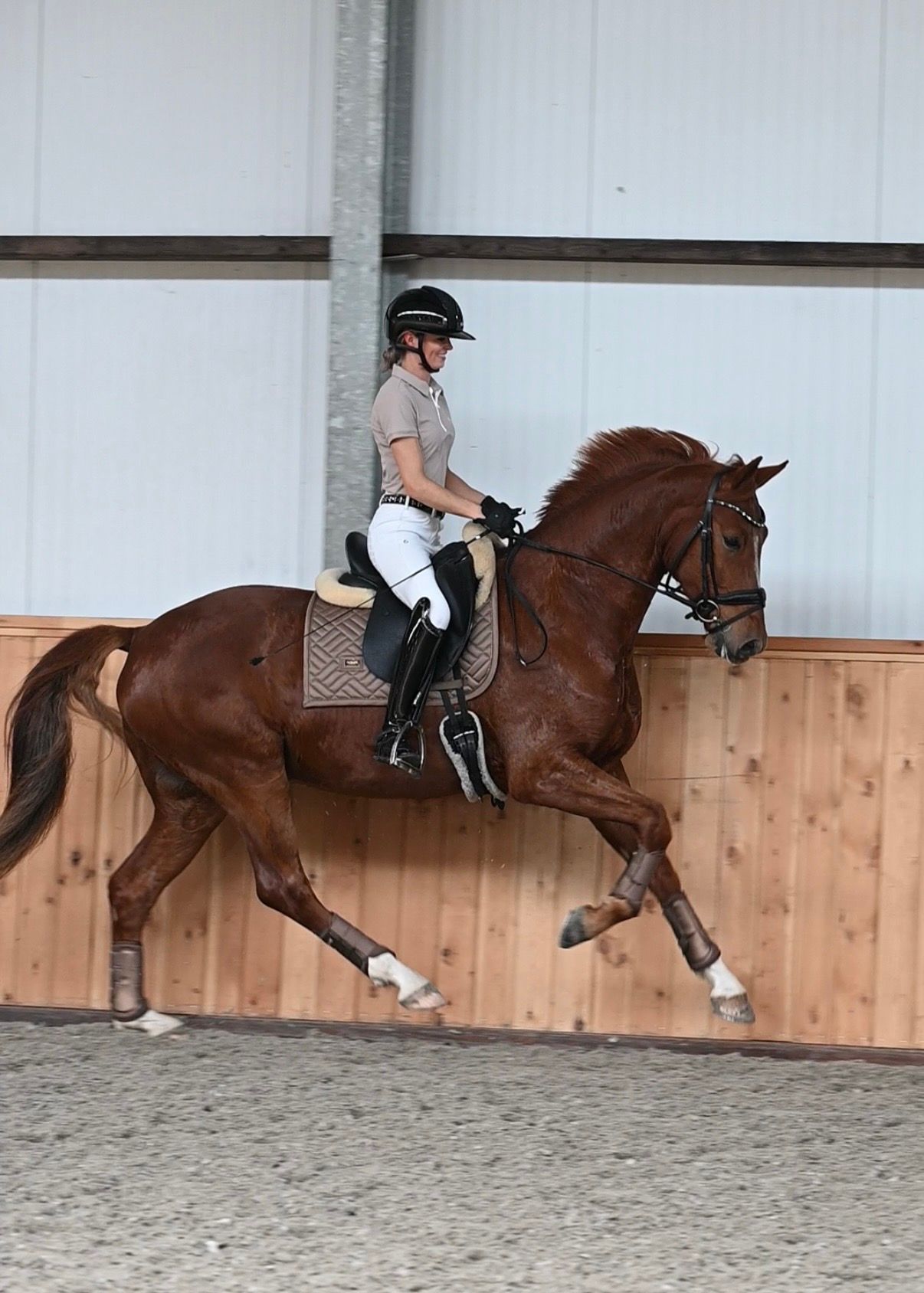 kwpn dressuurpaard ruin 4 anos vos à venda - Foto 4