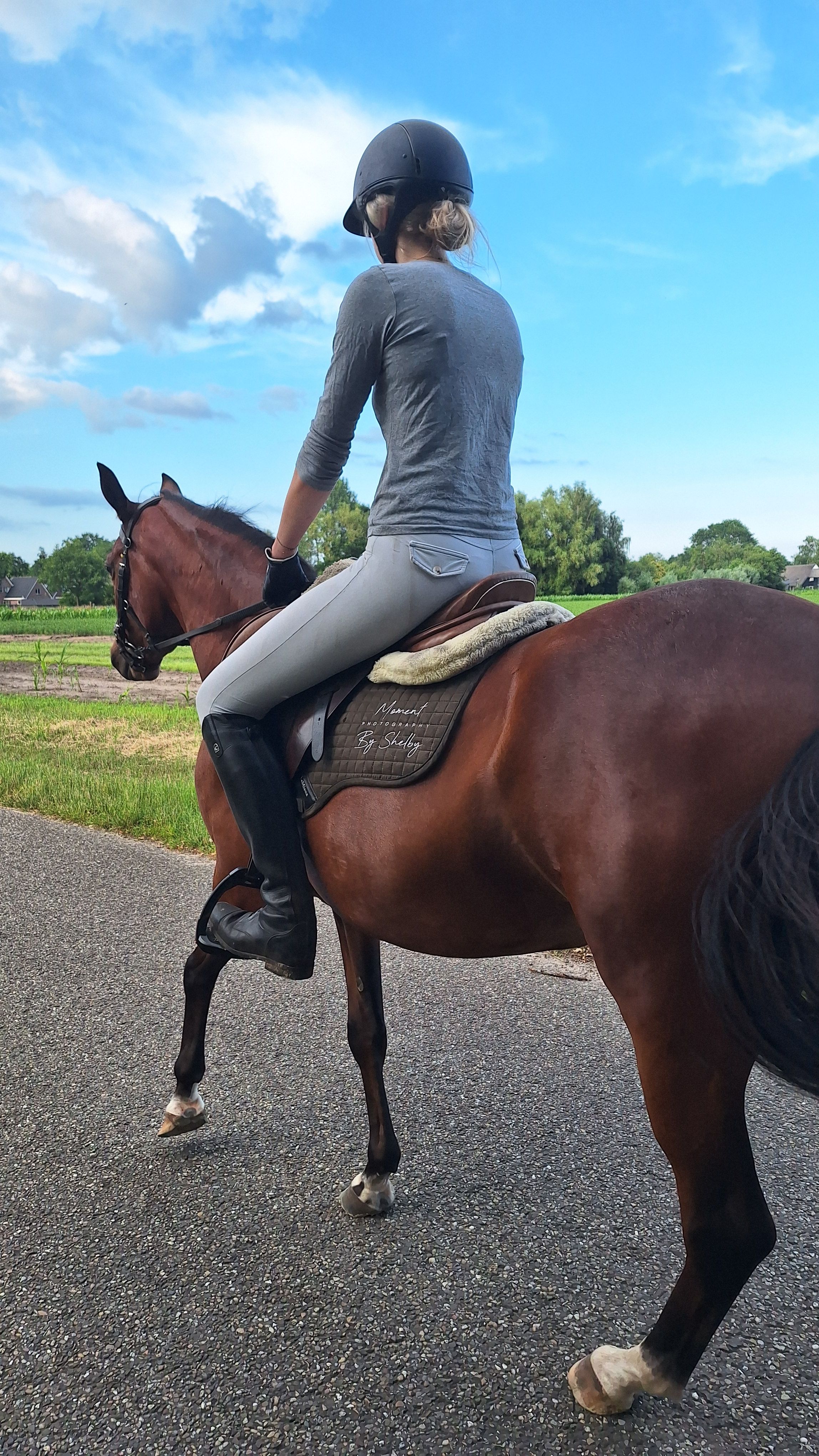 welsh allround-pony merrie 3 anos bruin à venda - Foto 4