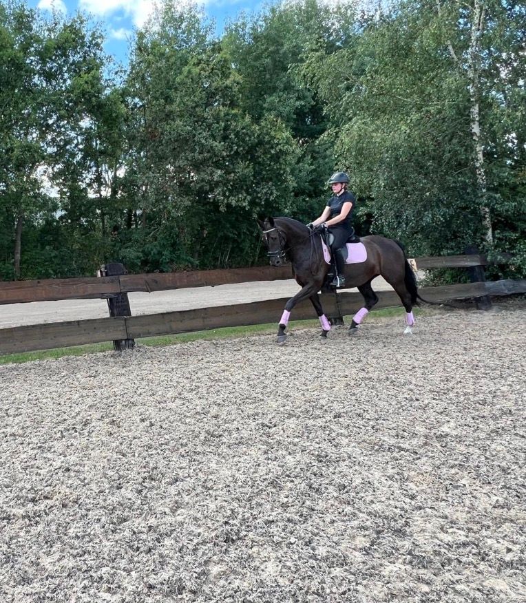 kwpn dressuurpaard merrie 13 jaar zwart te koop - Foto 3