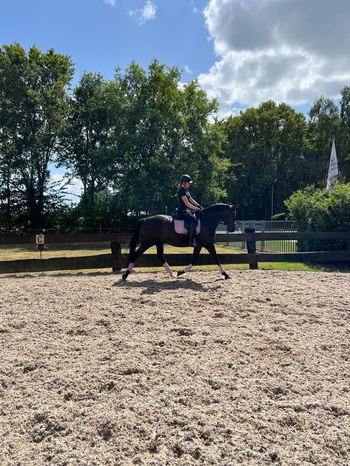 kwpn dressuurpaard merrie 13 jaar zwart te koop - Foto 5