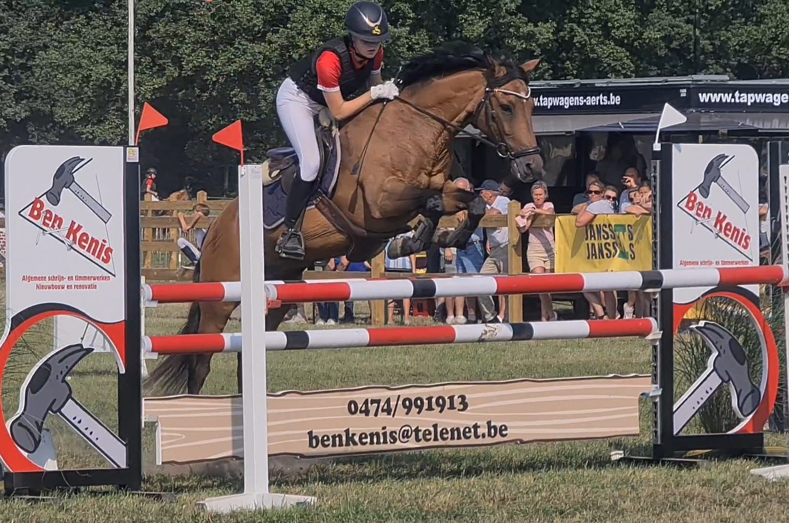 new-forest allround-pony ruin 20 år bruin till salu - Foto 3