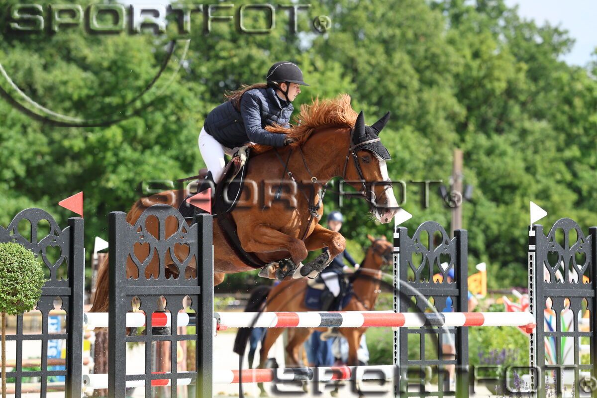 Competitieve 9 jarige Harley VDL