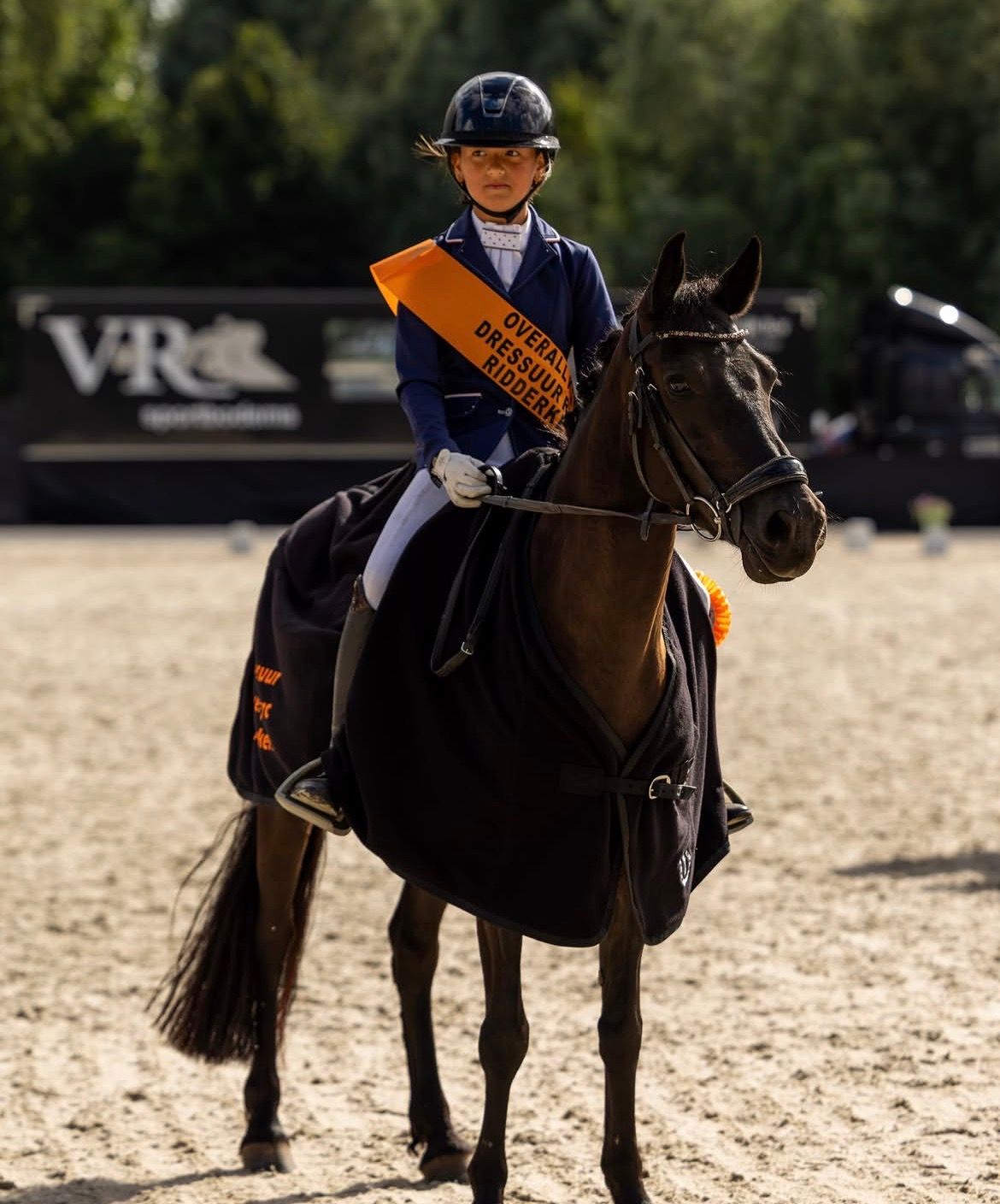 allround-pony merrie 10 jaar zwart te koop - Hoofdfoto