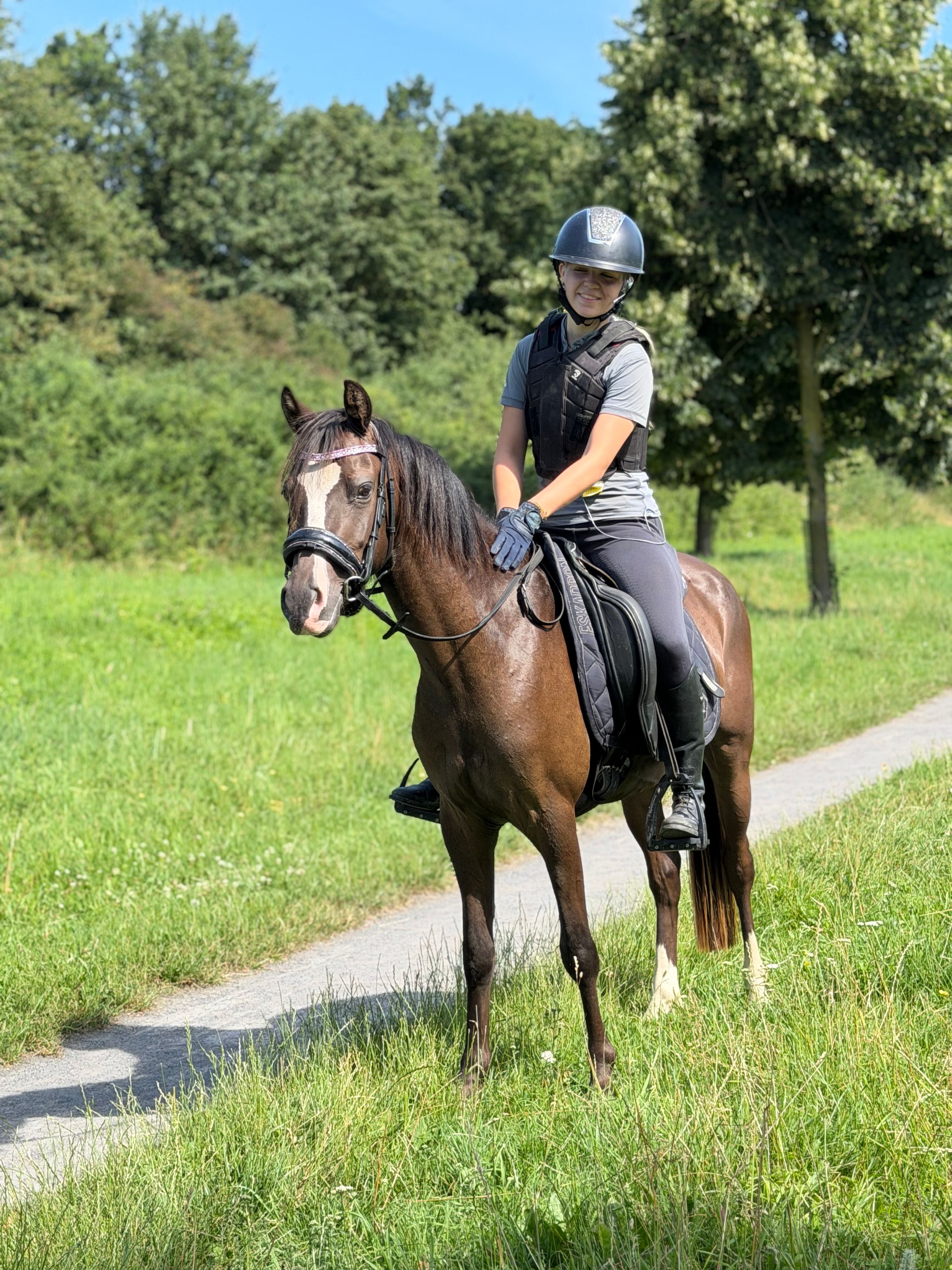 welsh allround-pony ruin 3 years old zwart for sale - Photo 4