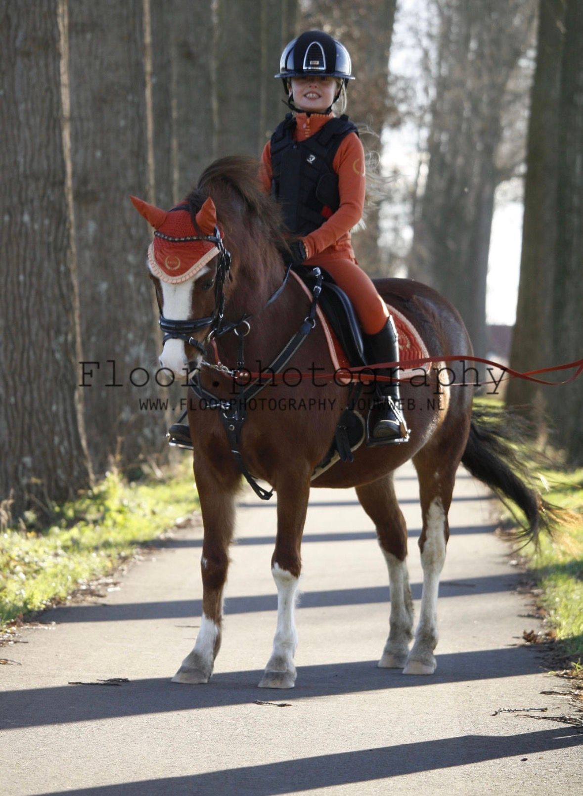welsh allround-pony merrie 8 Jahre alt vos zu verkaufen - Foto 5