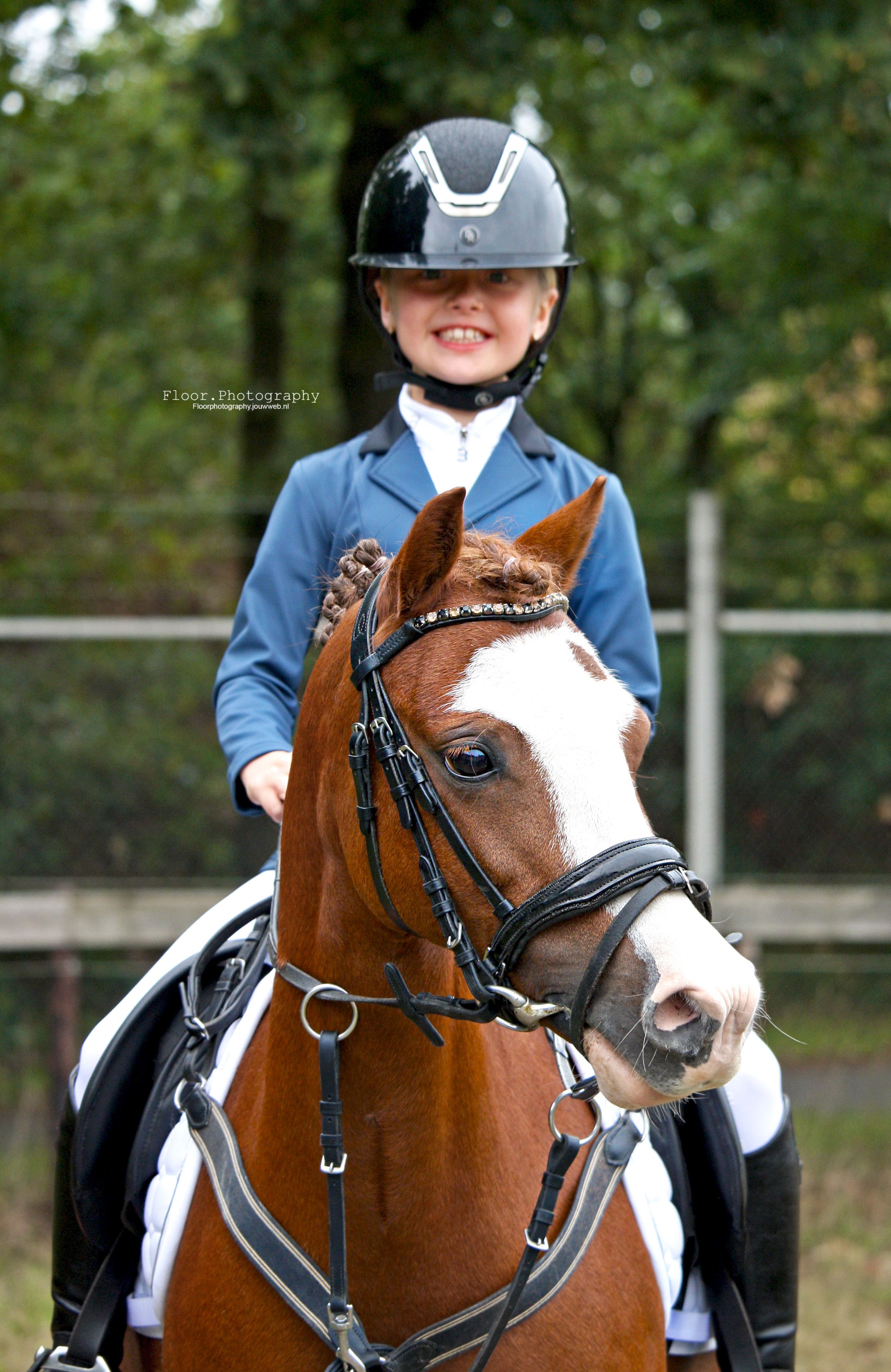 welsh allround-pony merrie 8 Jahre alt vos zu verkaufen - Foto 6