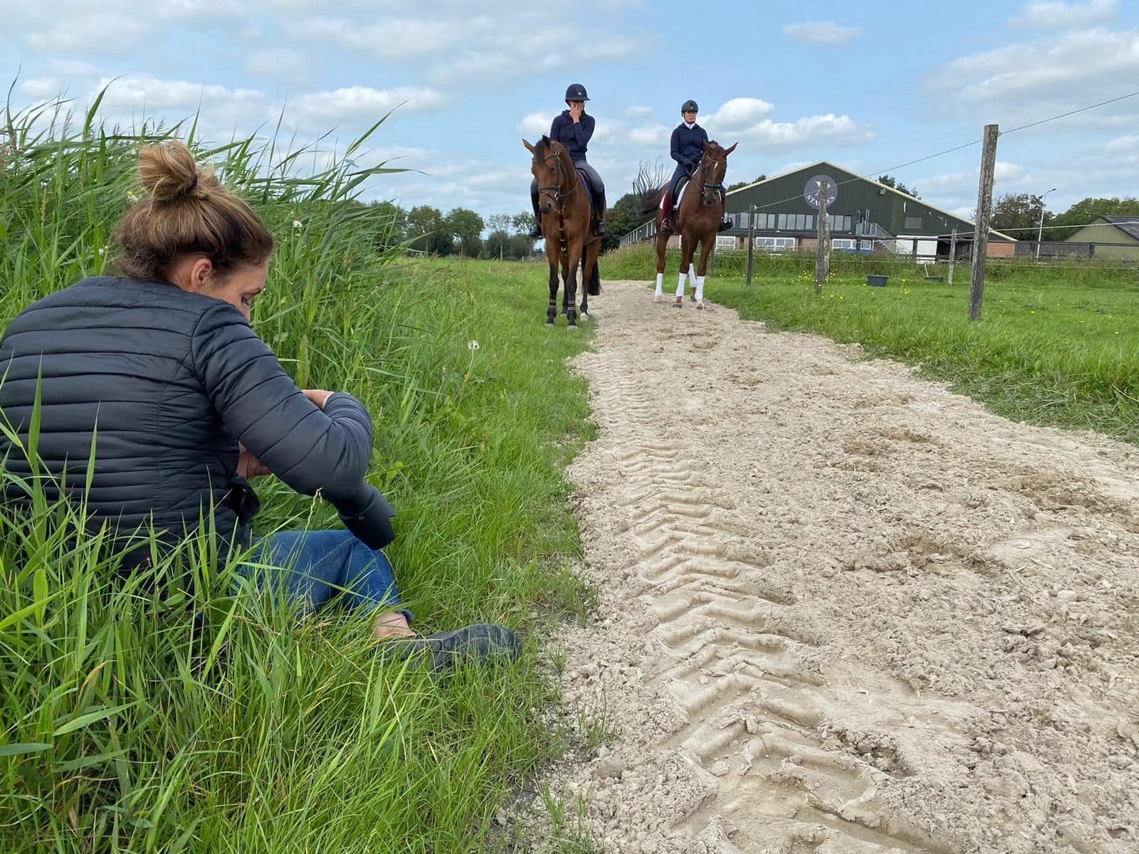 Meerder paardenboxen aangeboden omgeving Amsterdam/Wijdewormer - Foto 3