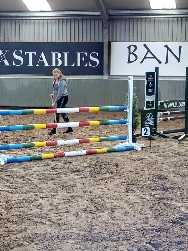 Meerder paardenboxen aangeboden omgeving Amsterdam/Wijdewormer - Foto 5