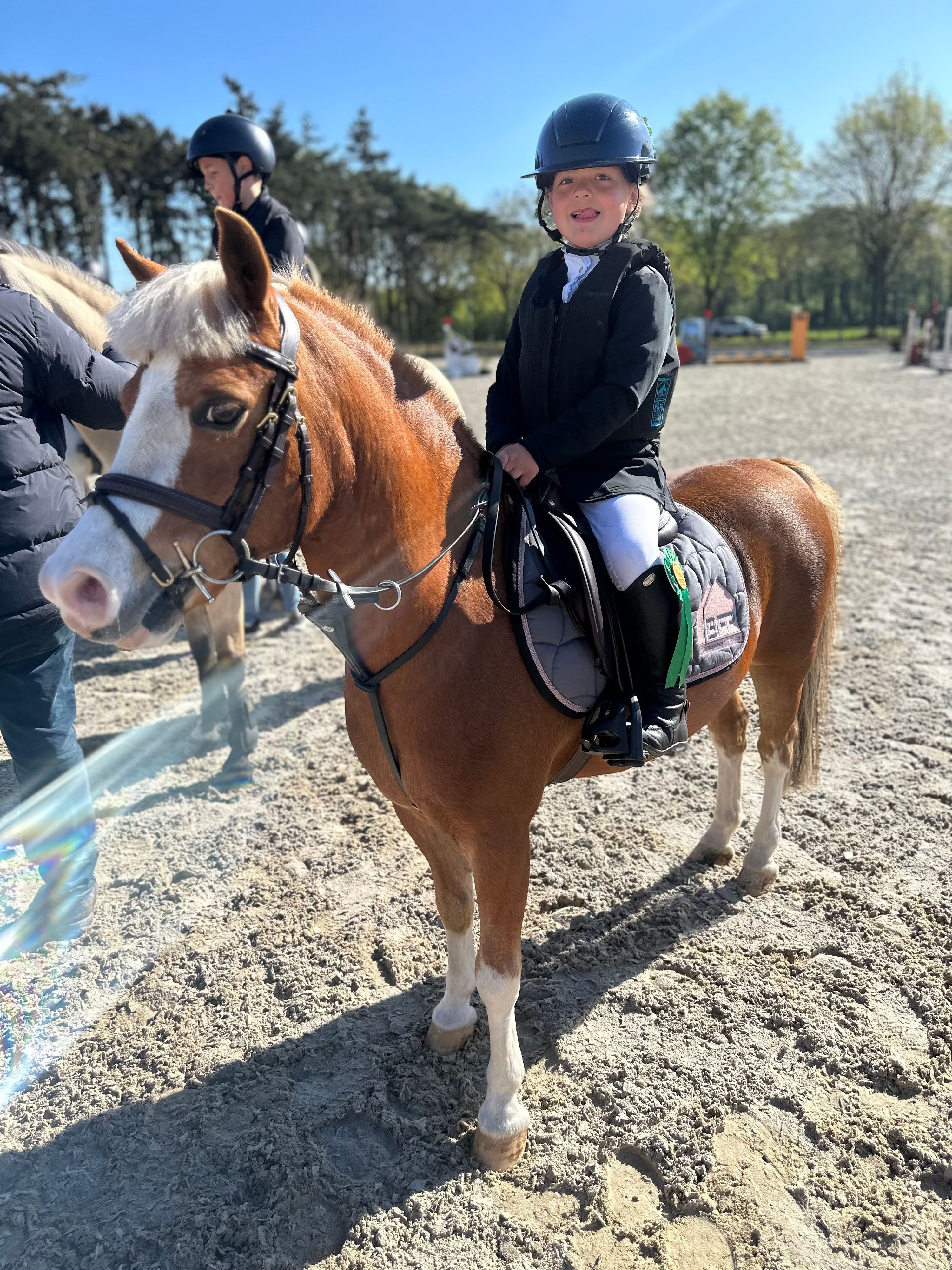 Schöner A-Pony-Wallach für BIXIE und SPRINGEN