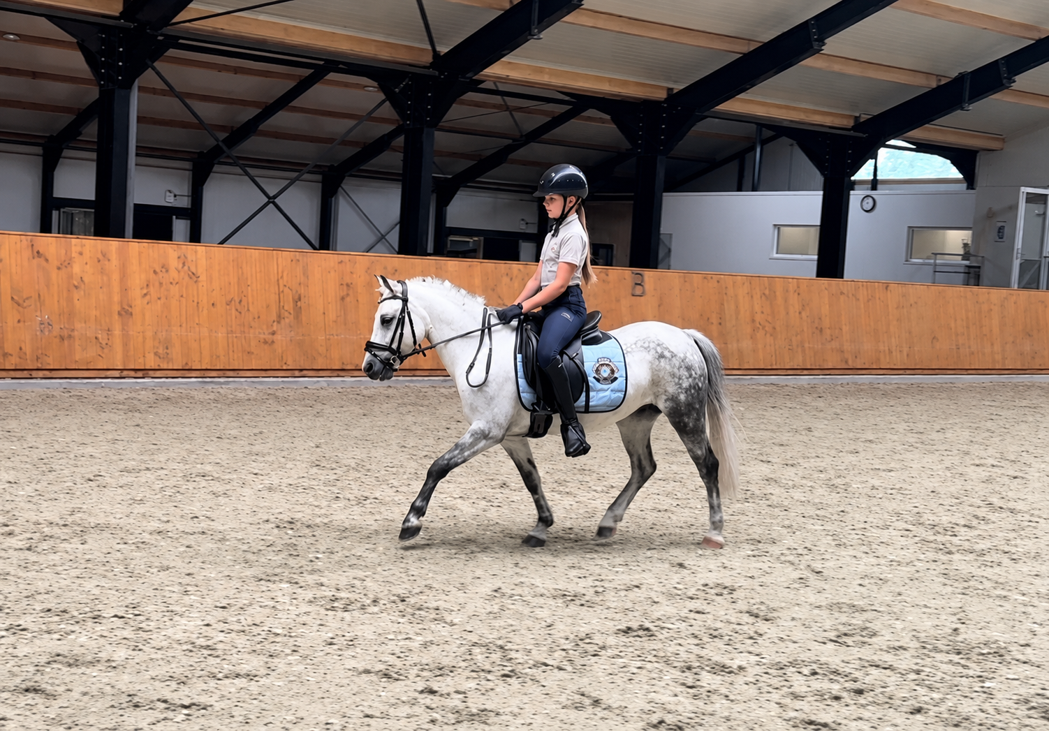 Poney très doux pour enfants