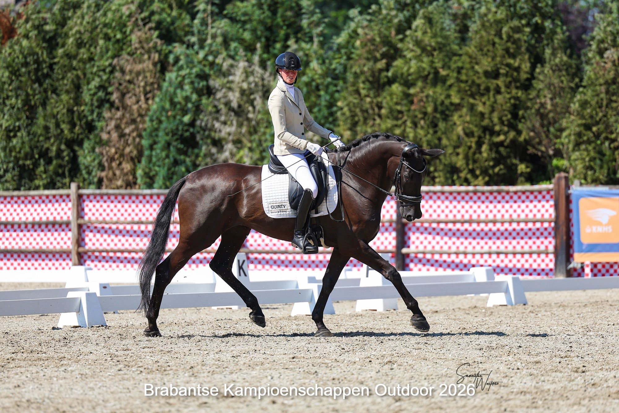 kwpn dressuurpaard merrie 6 years old zwart for sale - Photo 3