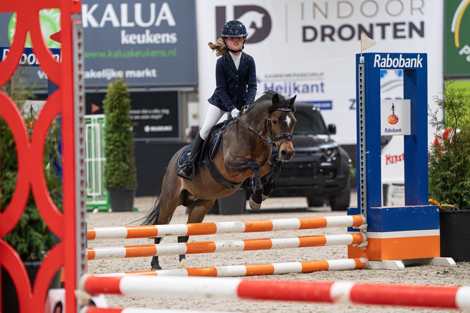 welsh allround-pony merrie 17 år donkerbruin till salu - Foto 4