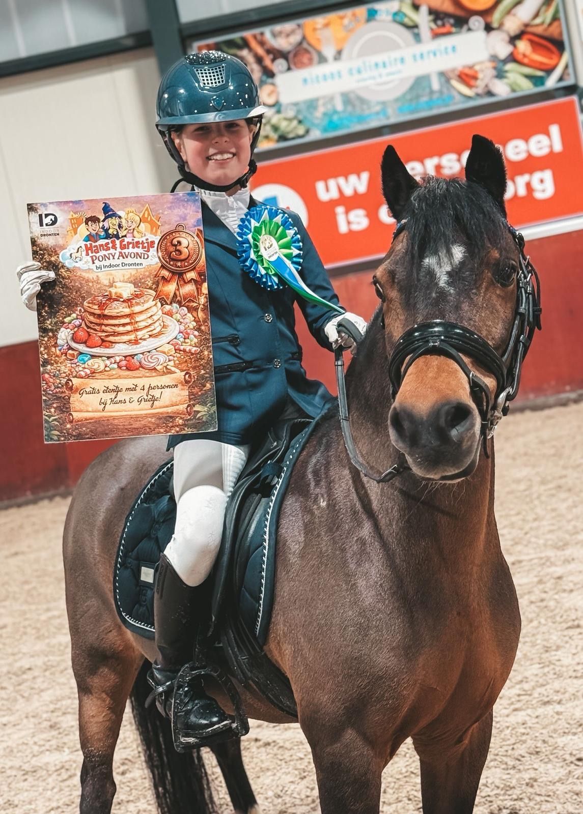 welsh allround-pony merrie 17 år donkerbruin till salu - Foto 6