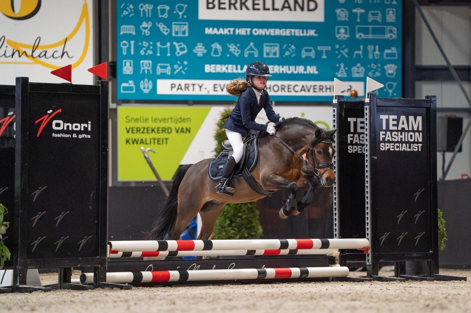 welsh allround-pony merrie 17 år donkerbruin till salu - Foto 3
