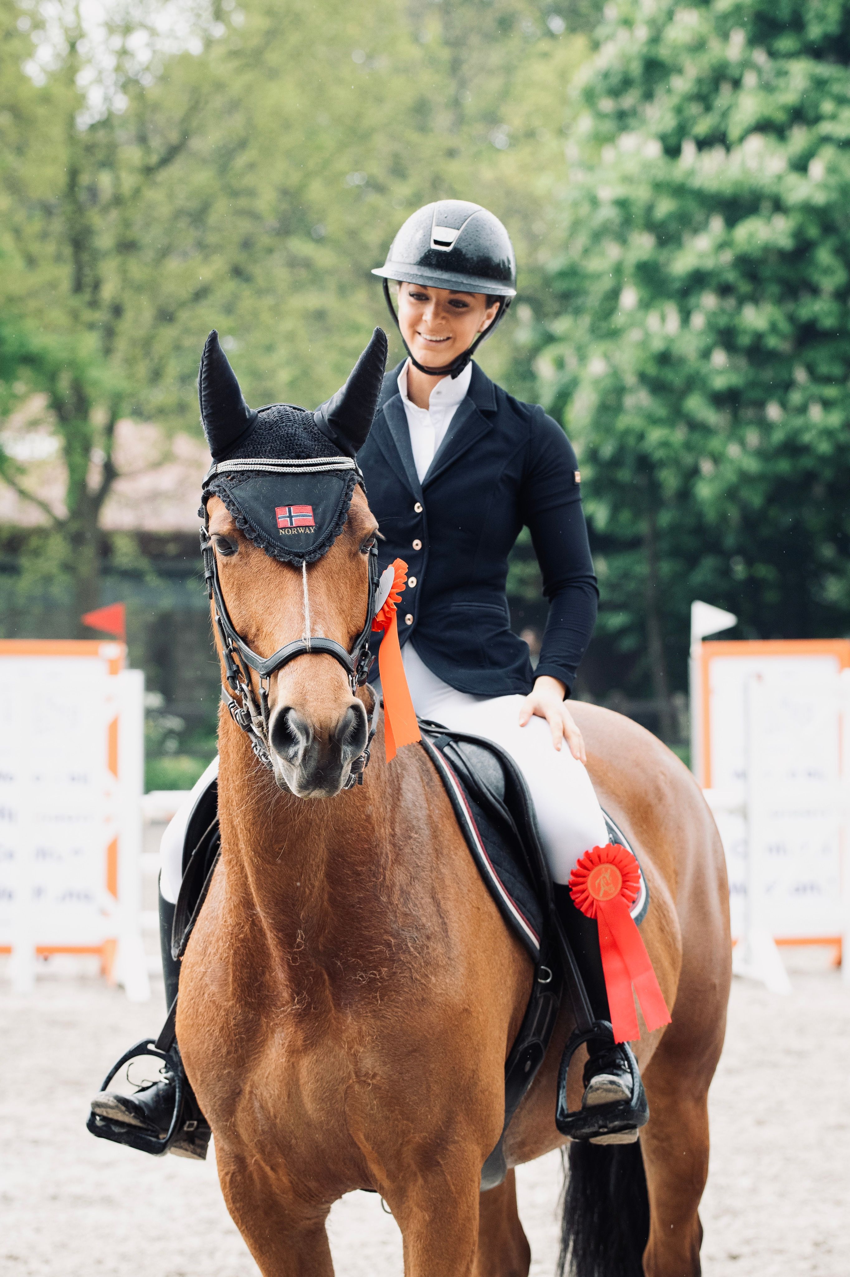 kwpn springpaard merrie 17 anos bruin à venda - Foto 3