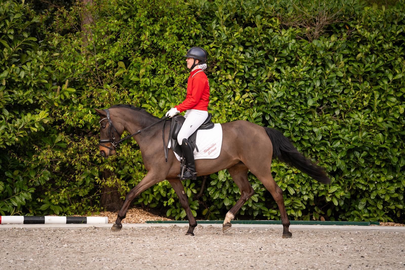 Estupendo poni de deporte D polivalente