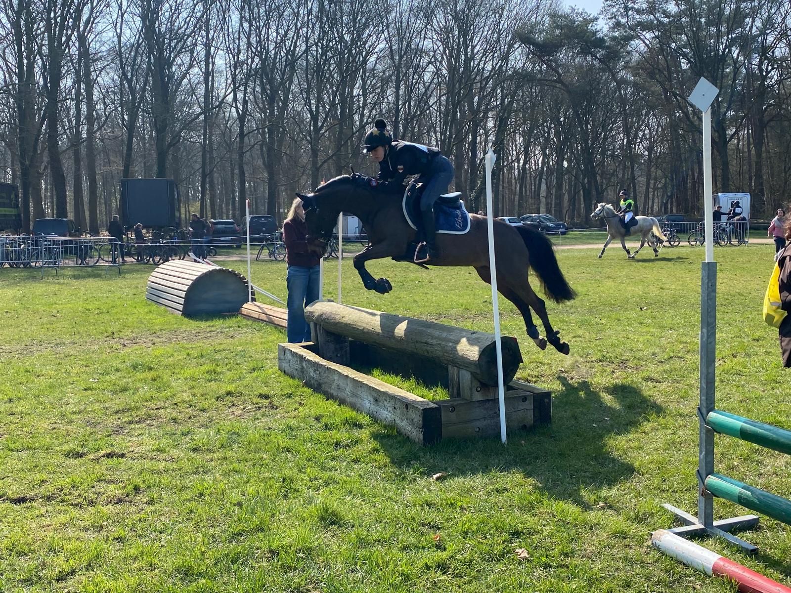 welsh allround-pony merrie 10 años donkerbruin en venta - Foto 5
