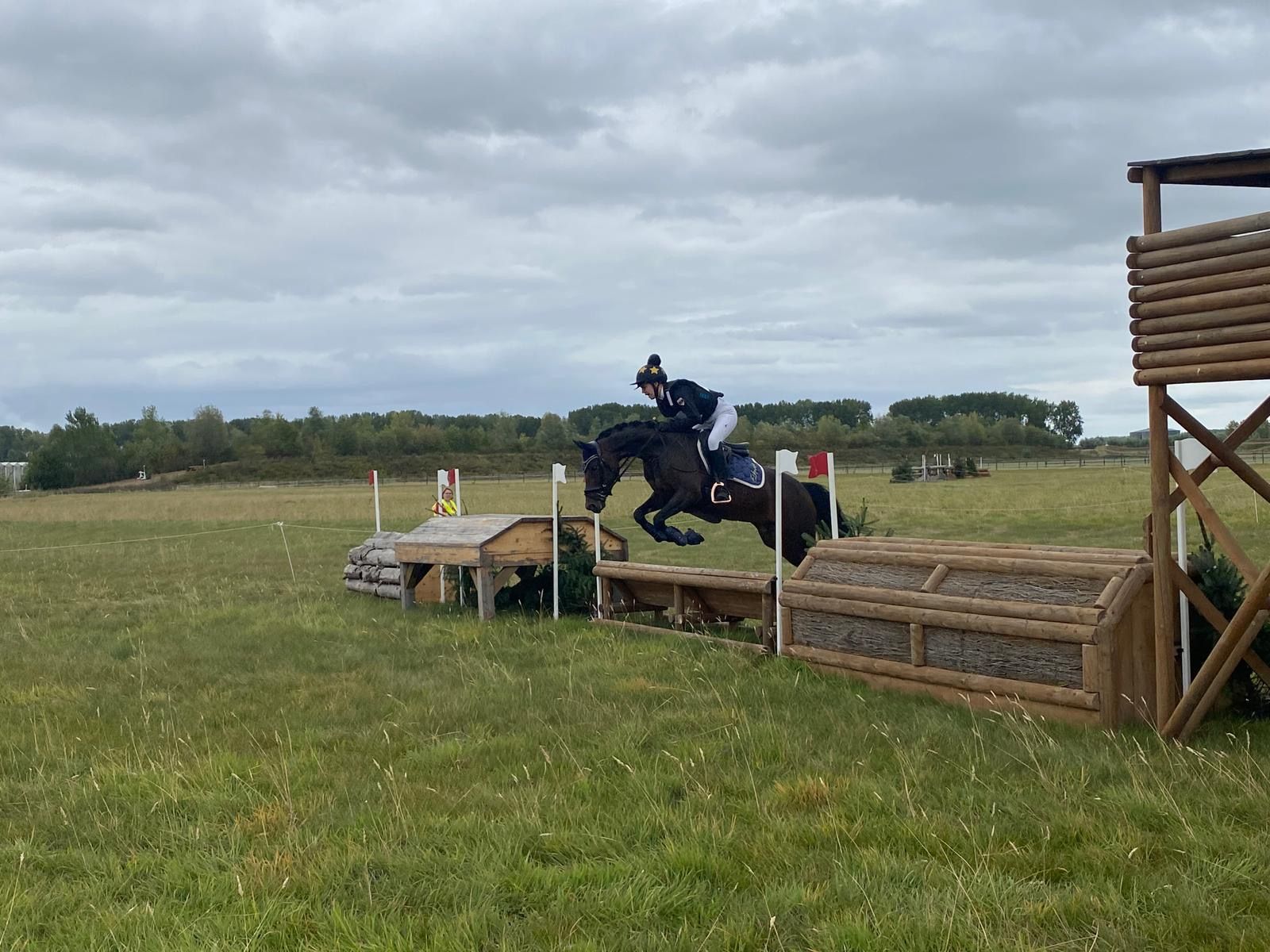 welsh allround-pony merrie 10 años donkerbruin en venta - Foto 4