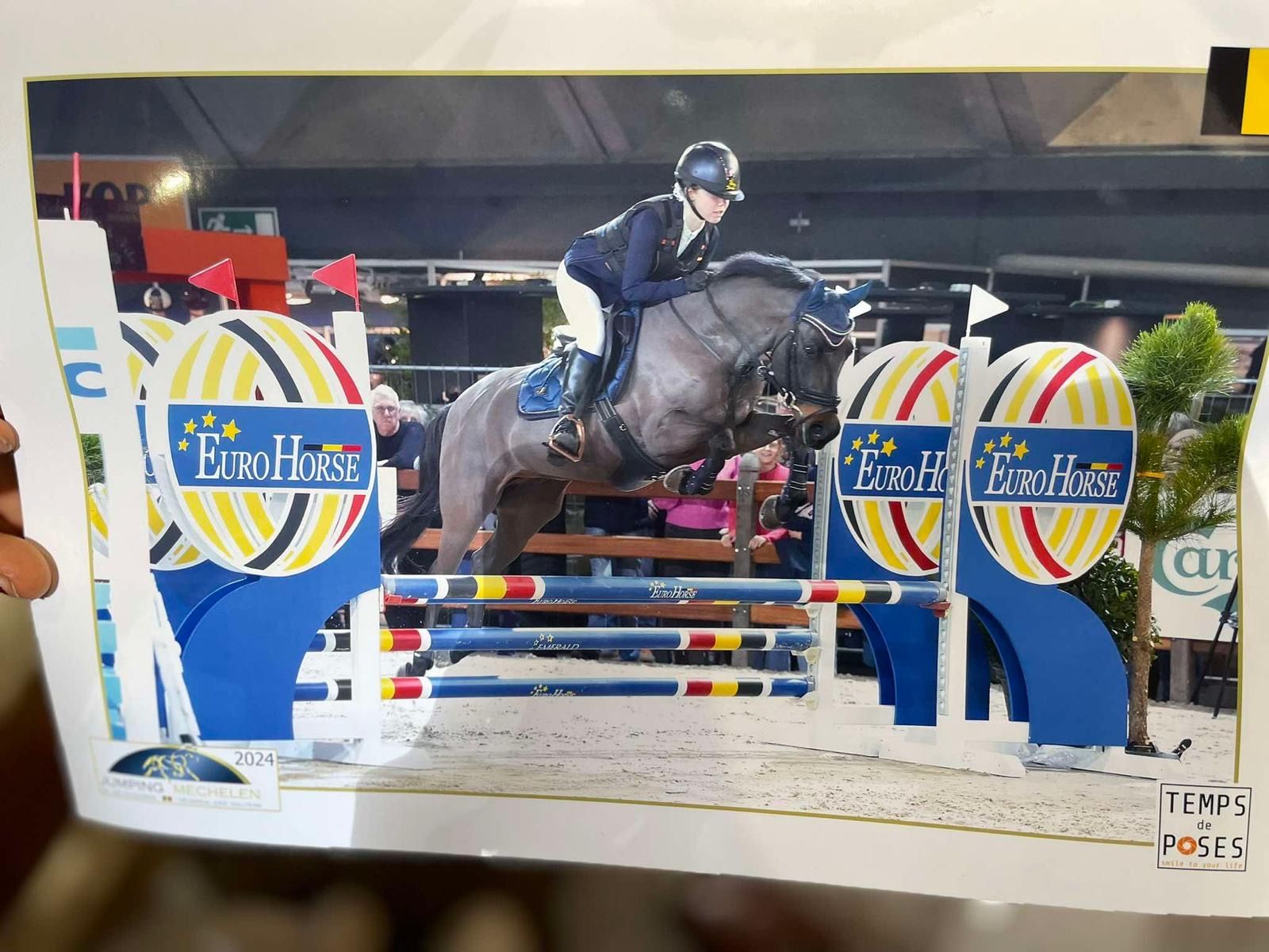 Snygg mångsidig D-sportponny