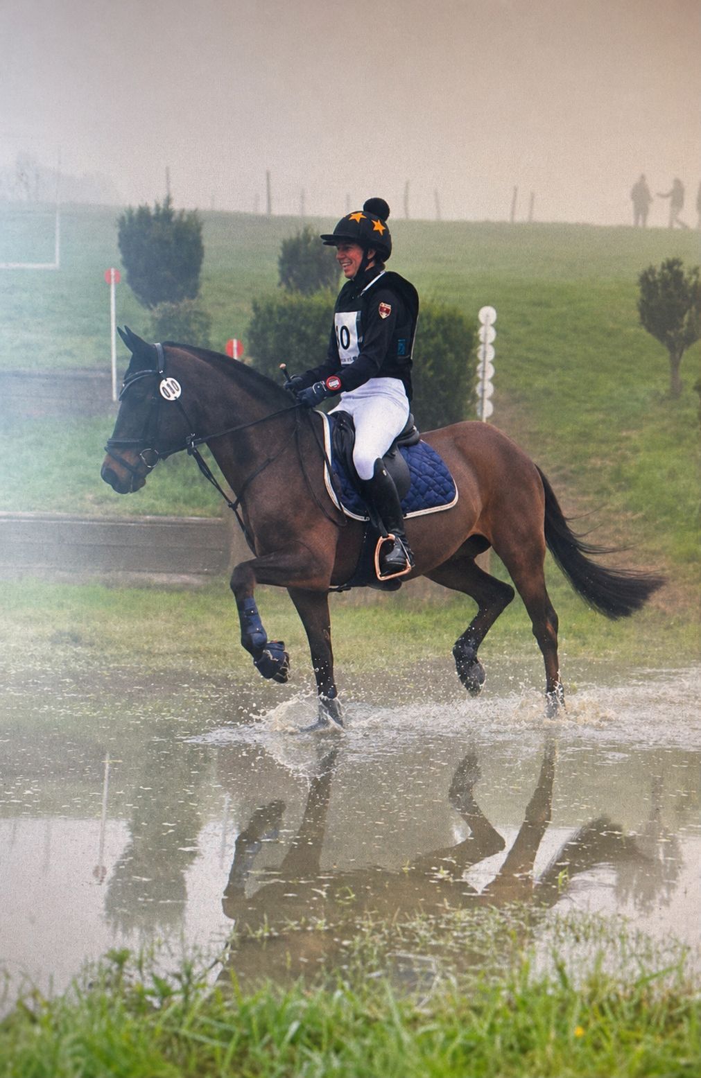 new-forest allround-pony ruin 19 år donkerbruin till salu - Foto 6