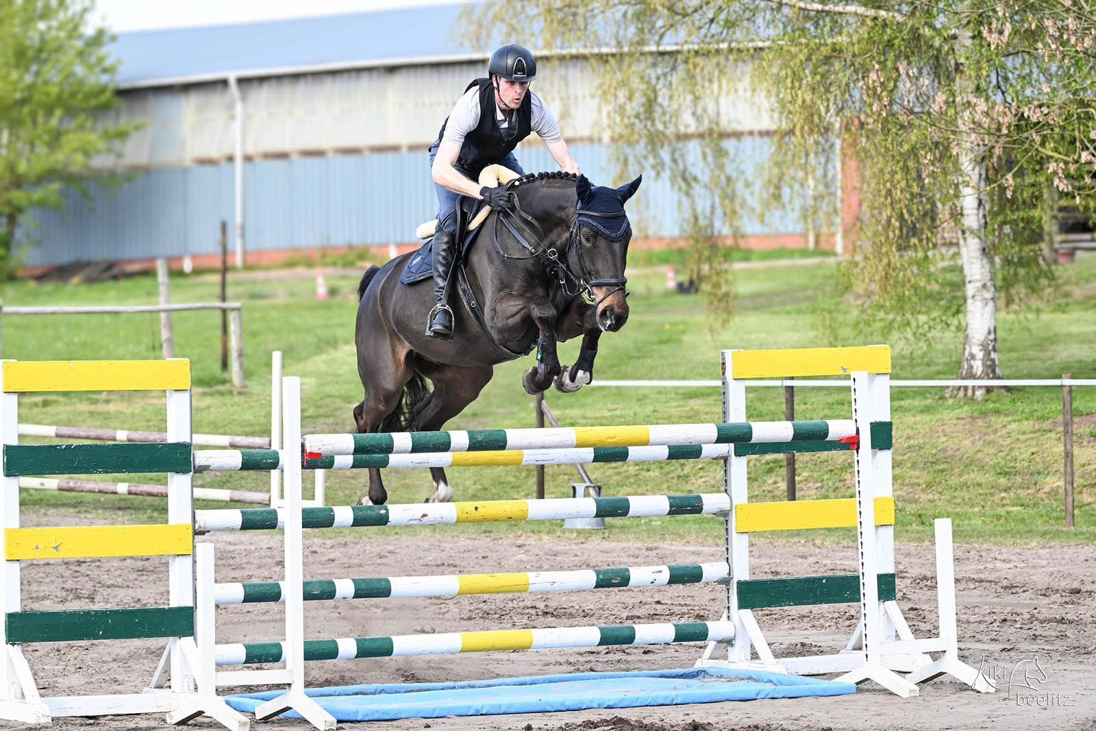 Hongre de saut Hanovrien talentueux de 7 ans