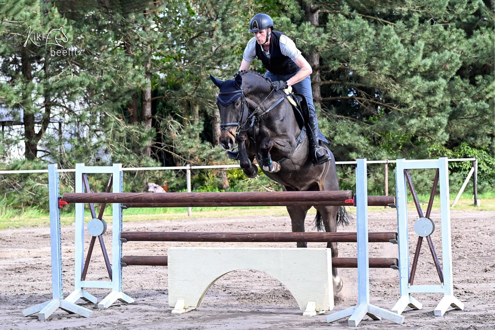 hanovarian springpaard ruin 7 let zwart na prodej - Foto 4