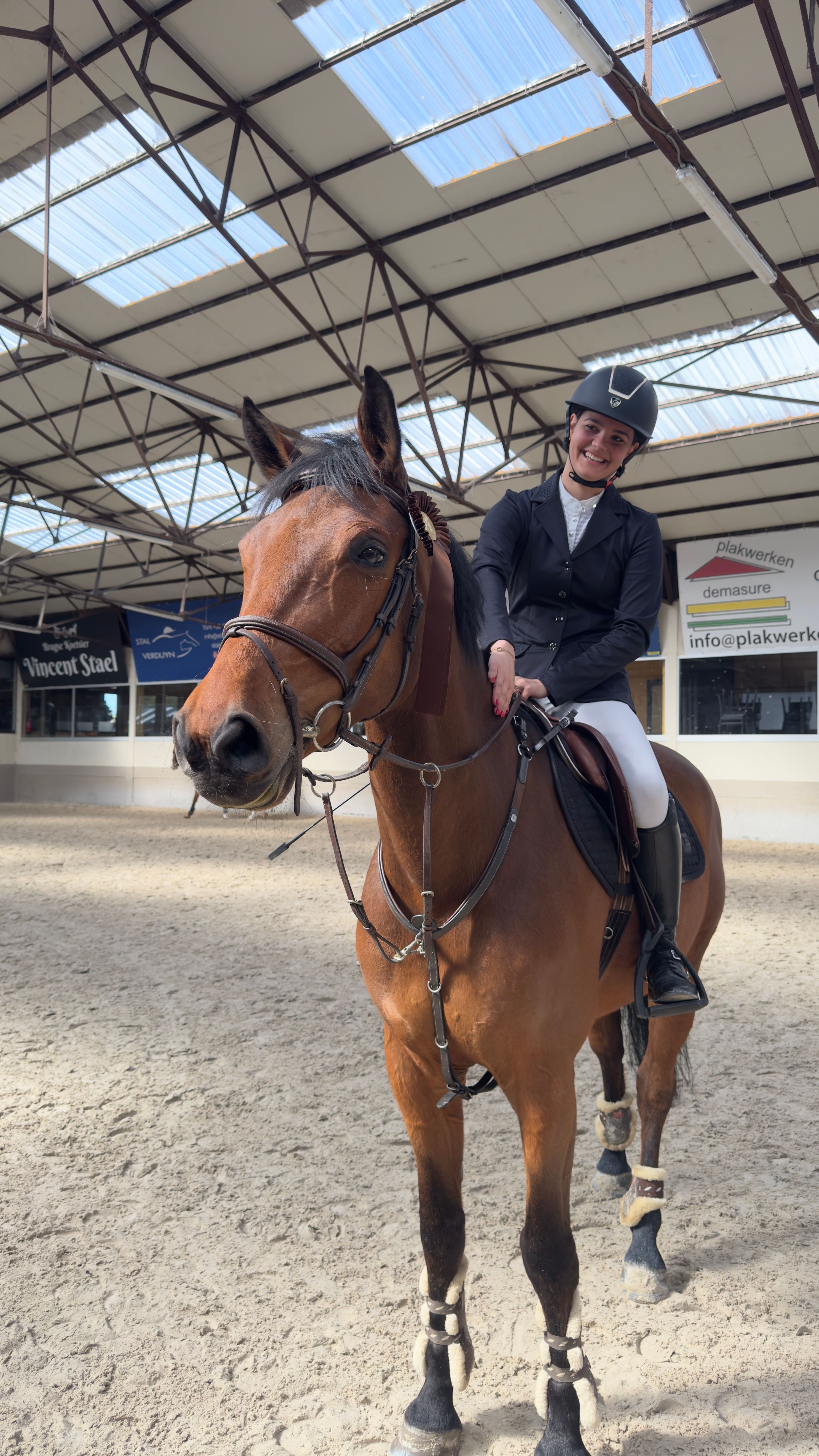 bwp springpaard ruin 10 år bruin till salu - Foto 6