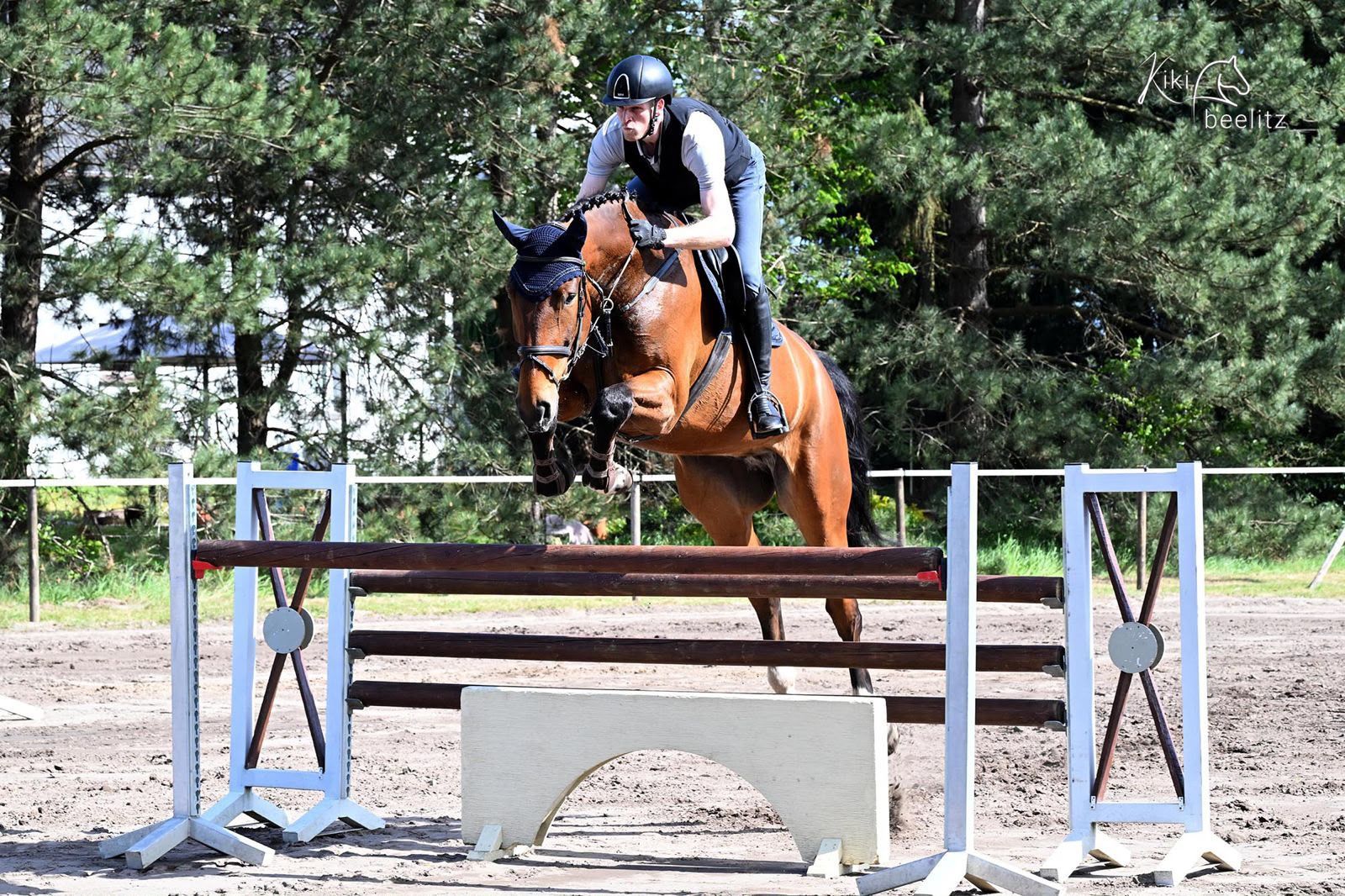 hanovarian springpaard ruin 6 år bruin till salu - Foto 3