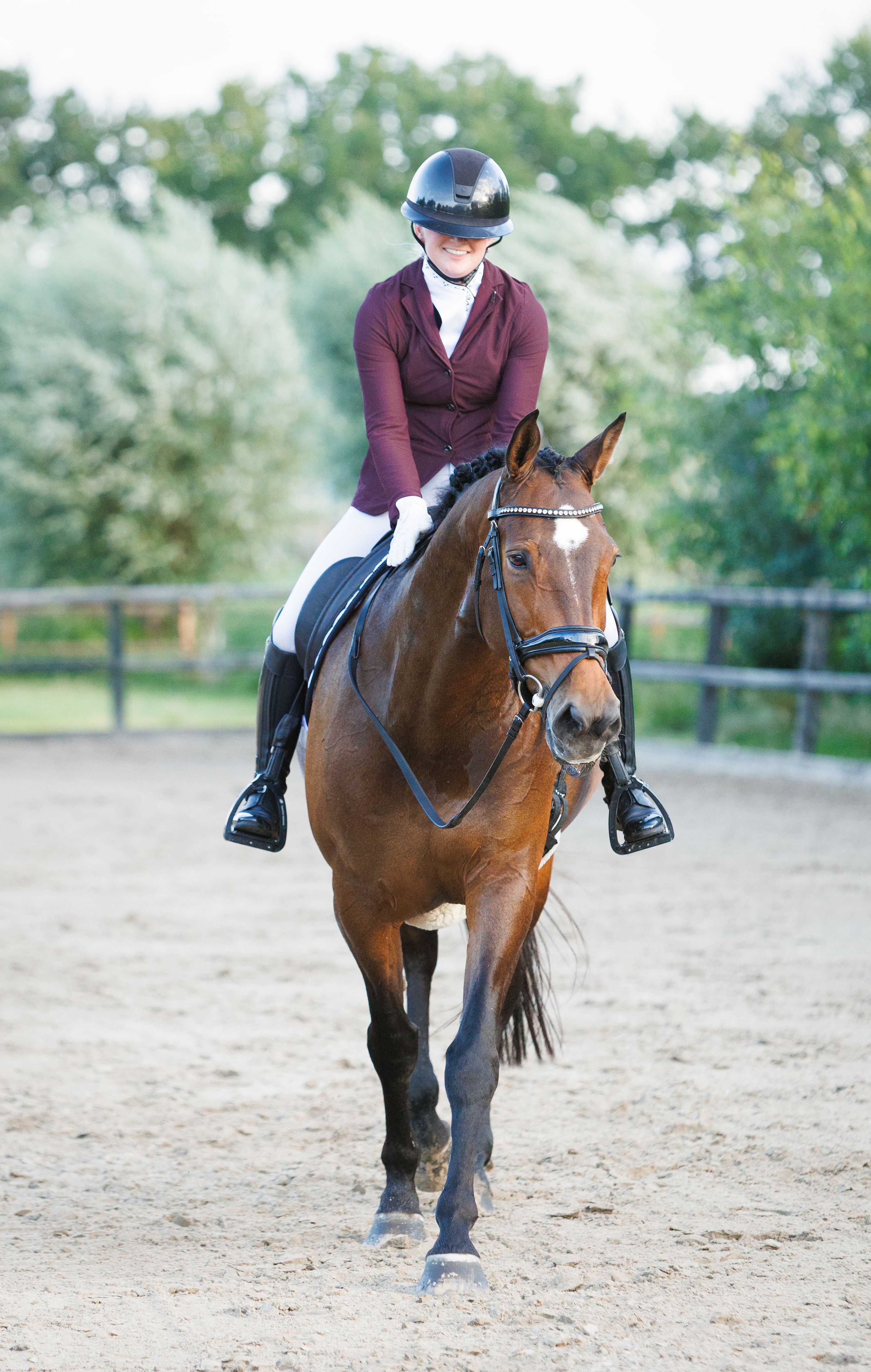 kwpn dressuurpaard merrie 13 años bruin en venta - Foto 2