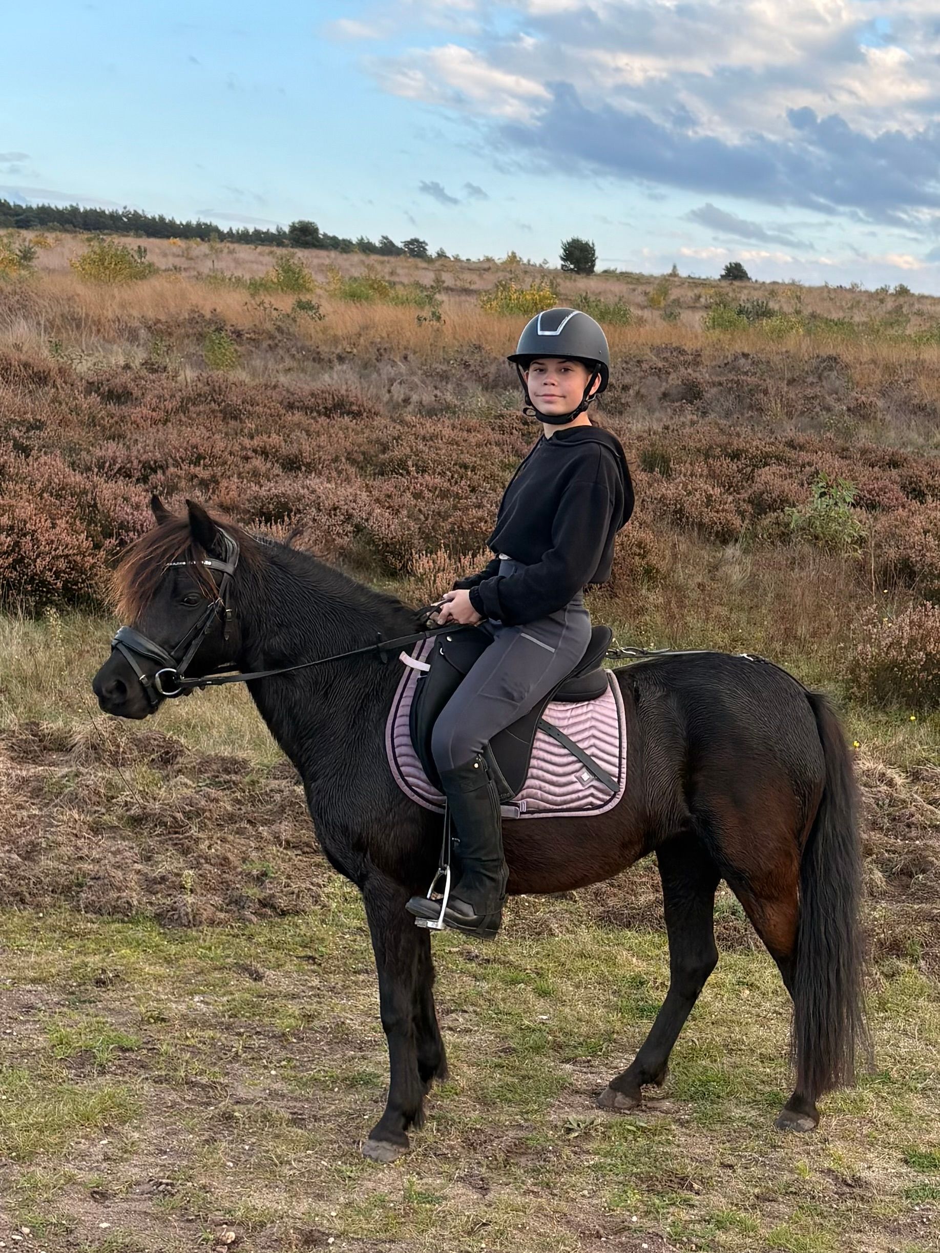 dartmoor recreatie-pony merrie 10 Jahre alt zwart zu verkaufen - Foto 3
