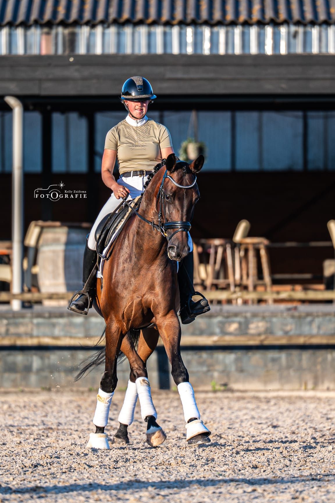 kwpn dressuurpaard merrie 7 años donkerbruin en venta - Foto 2