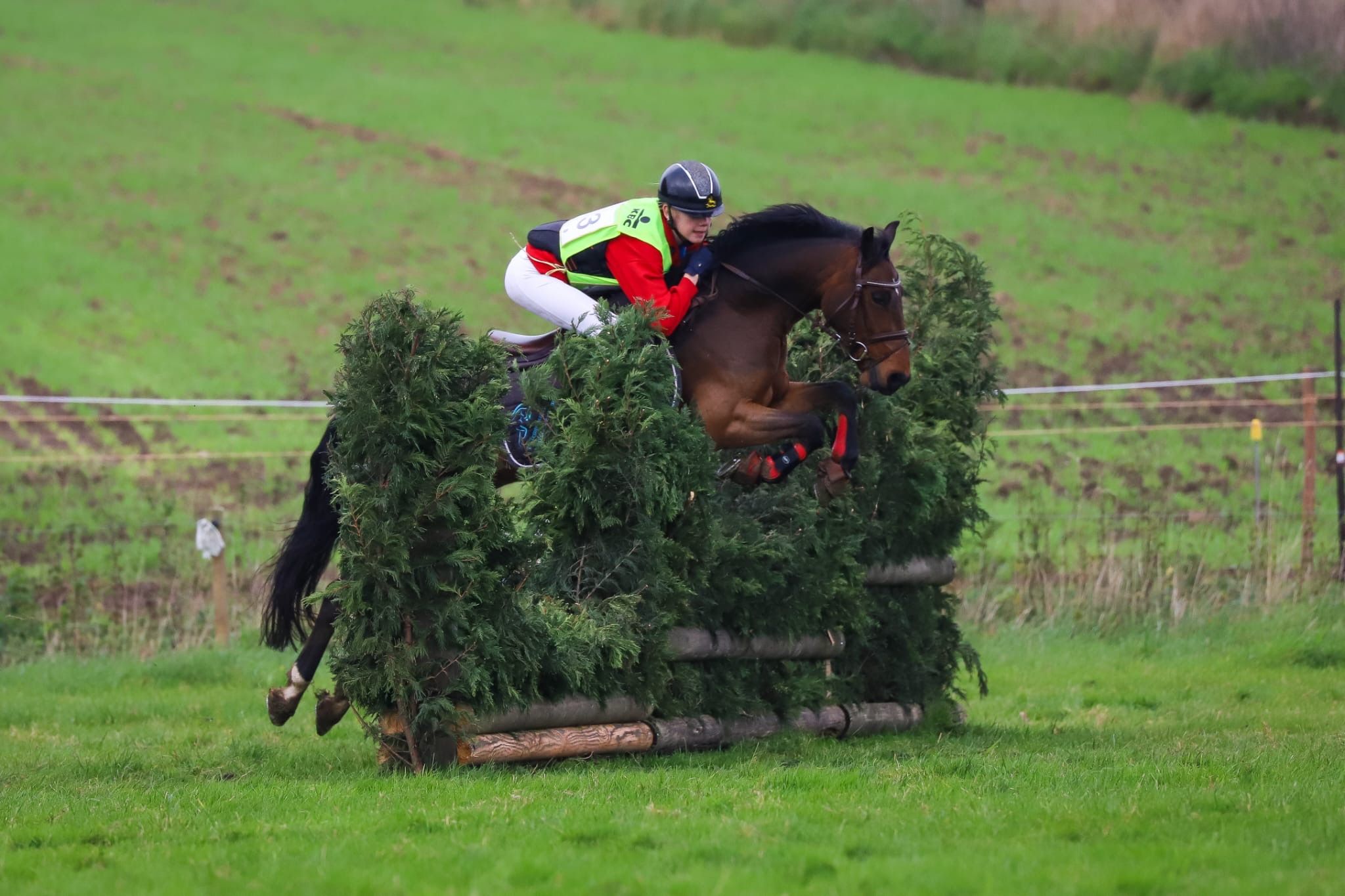 Liebes Allroundpony 1.28 cm