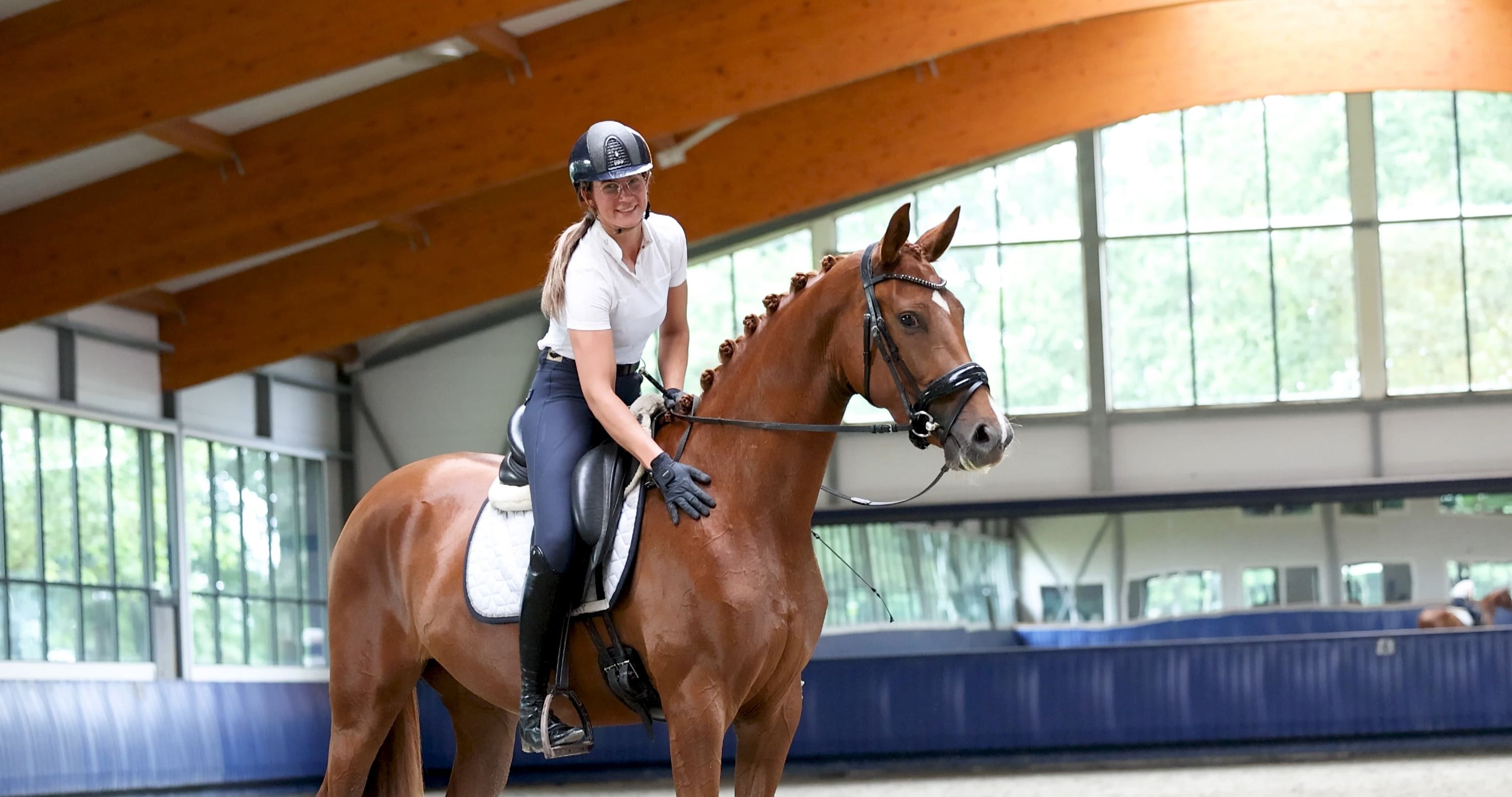 kwpn dressuurpaard merrie 3 anos vos à venda - Foto 2