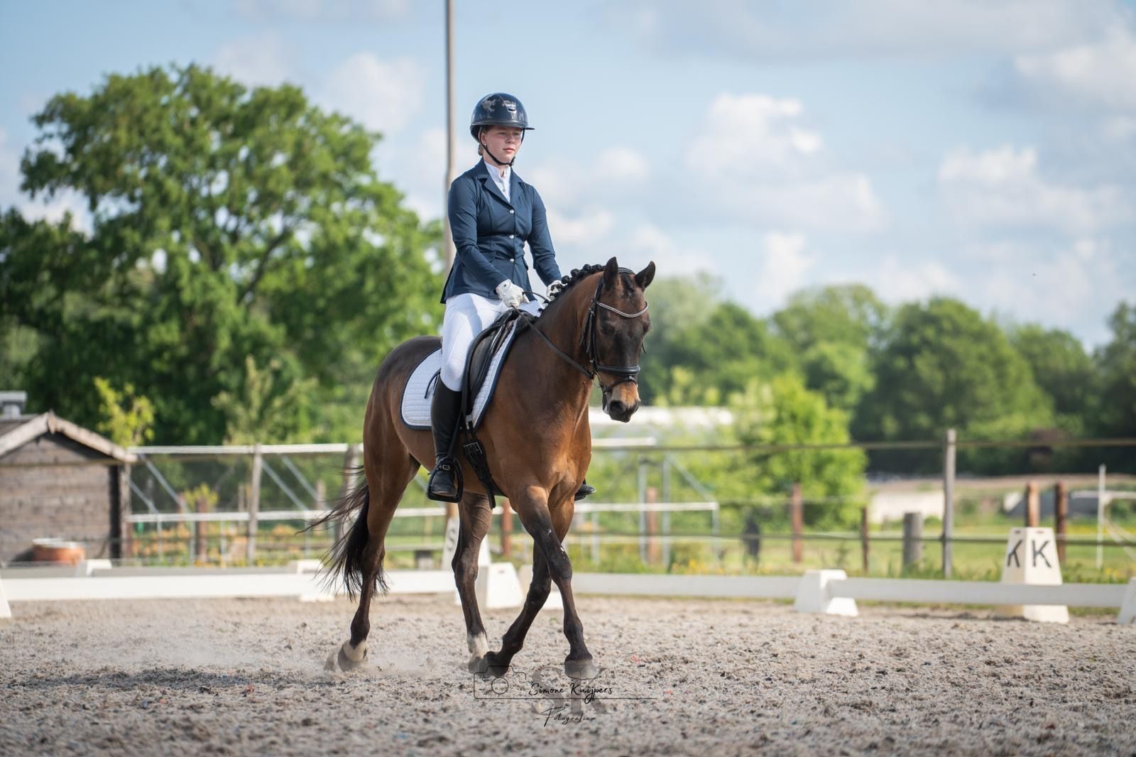 welsh allround-pony ruin 15 år donkerbruin till salu - Foto 5