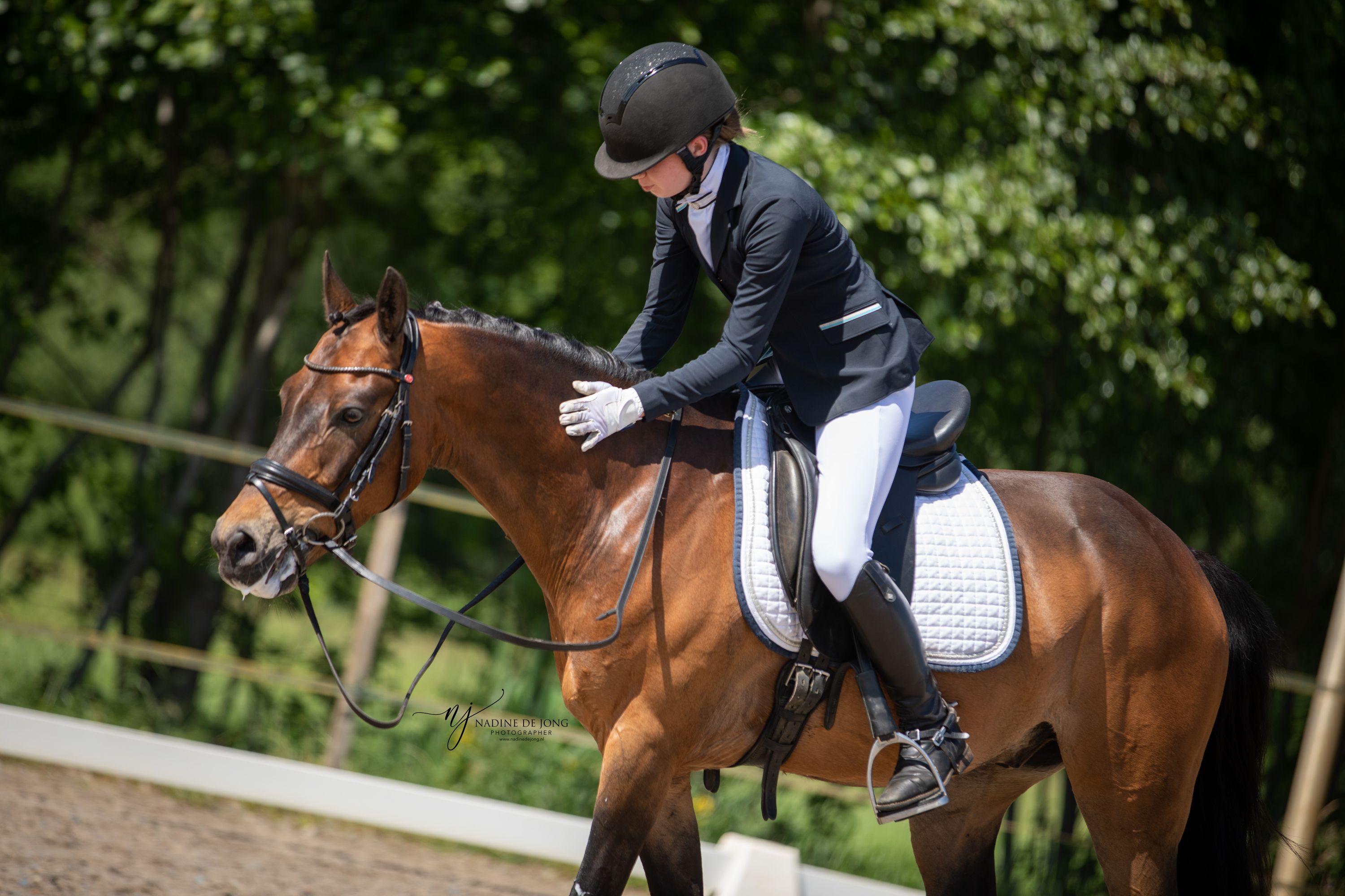 welsh allround-pony ruin 15 år donkerbruin till salu - Foto 3
