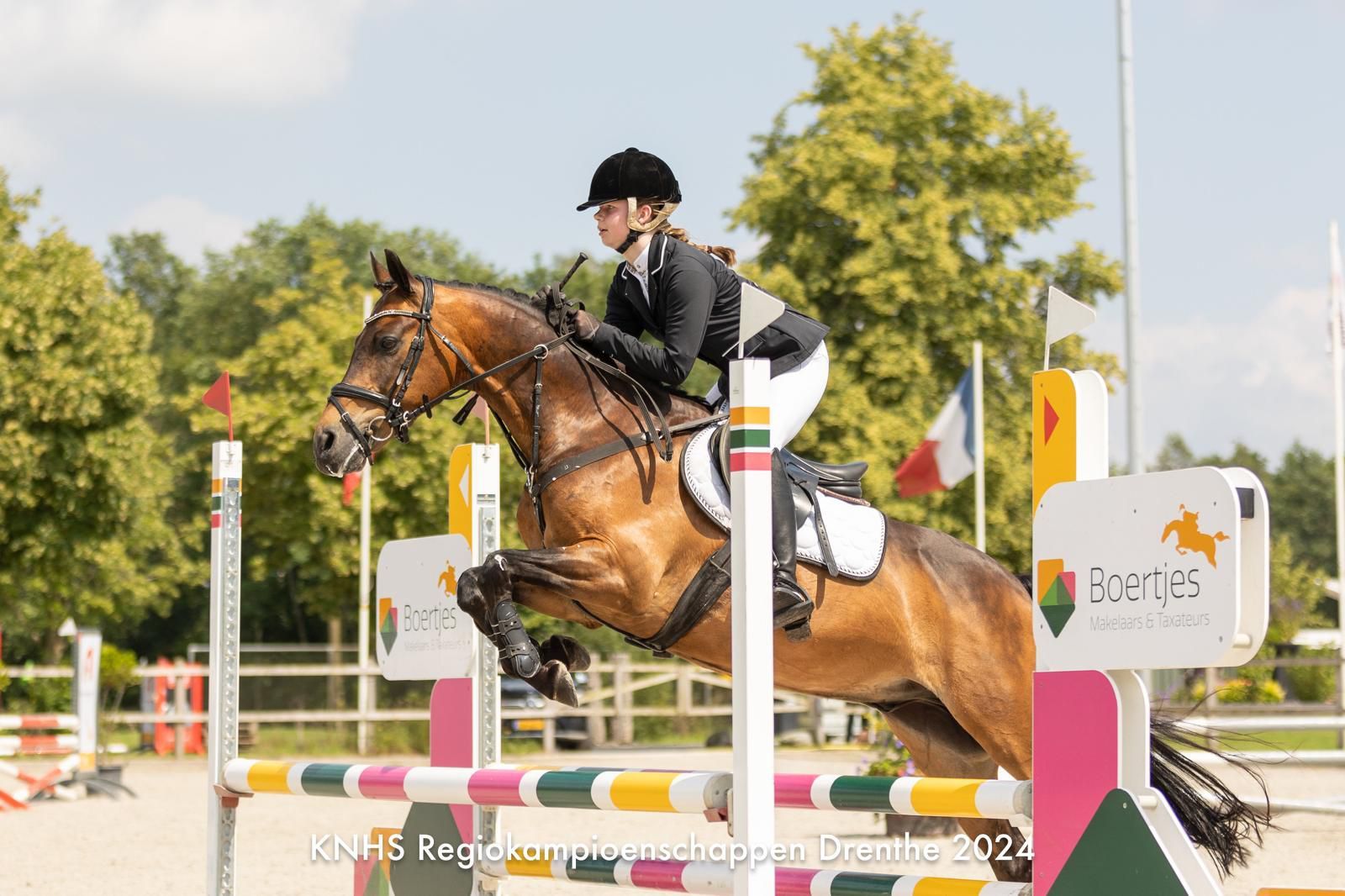 welsh allround-pony ruin 15 år donkerbruin till salu - Foto 4