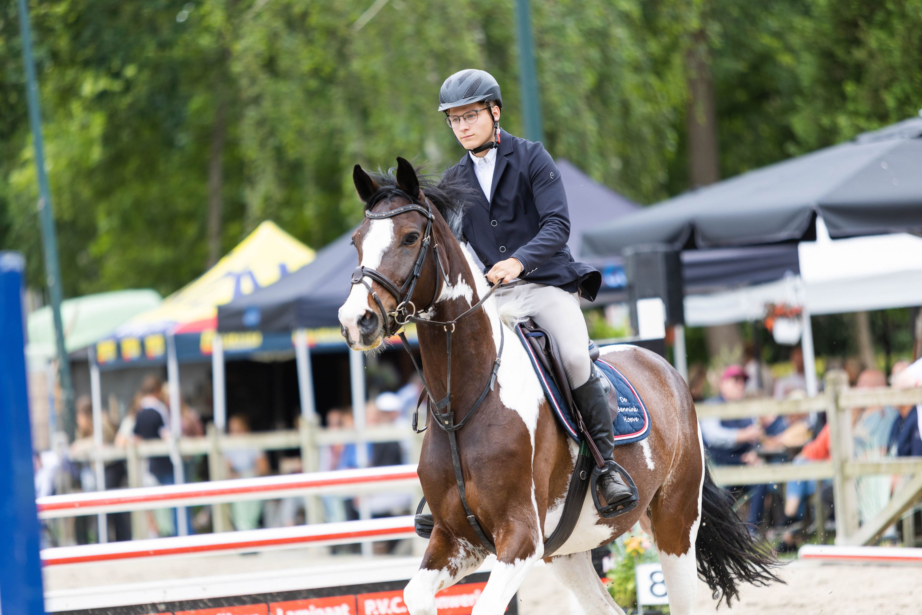 Super knappe 11-jarige merrie