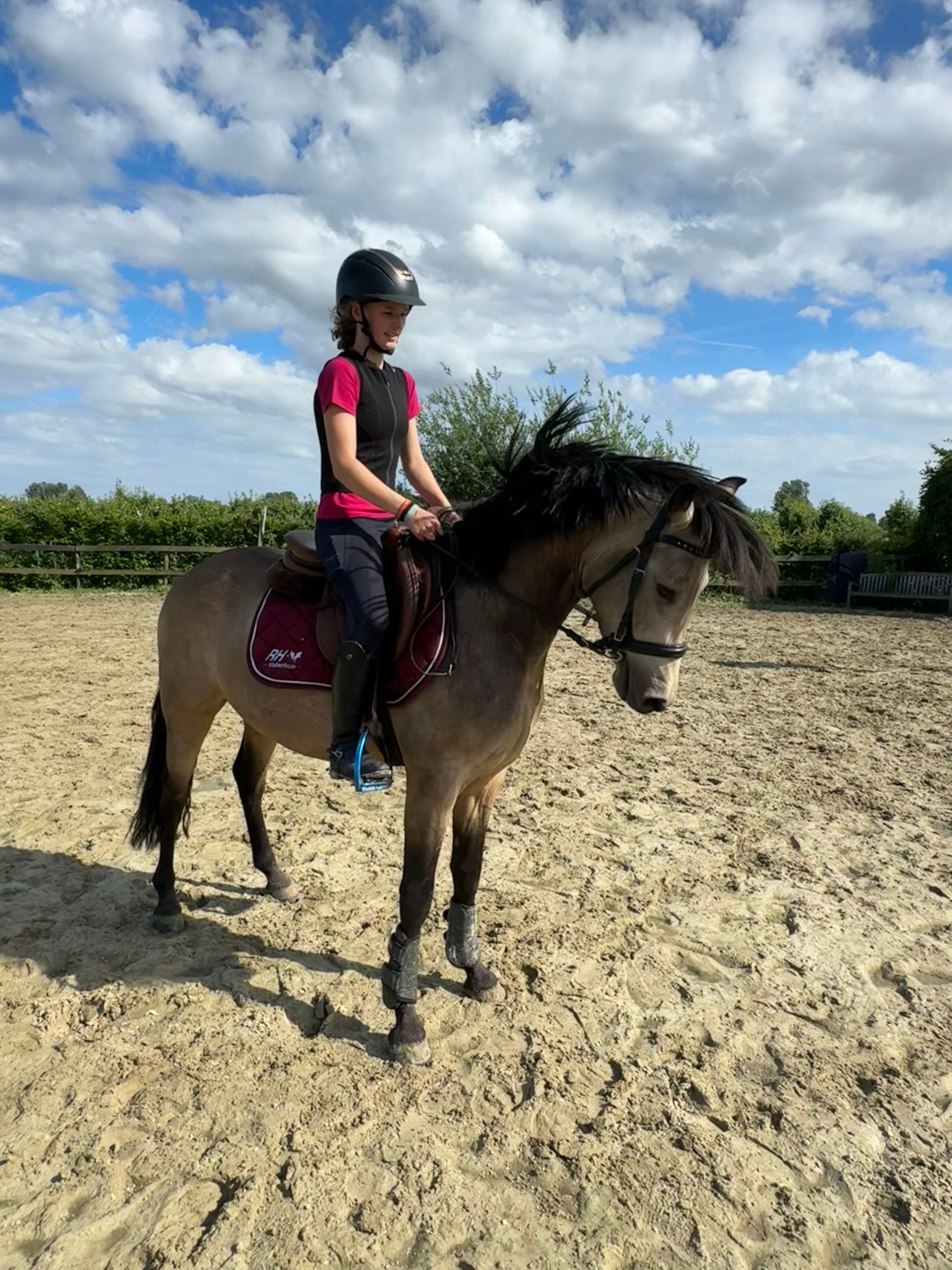 nrps allround-pony ruin 4 lat andere-kleur na sprzedaż - Zdjęcie 6