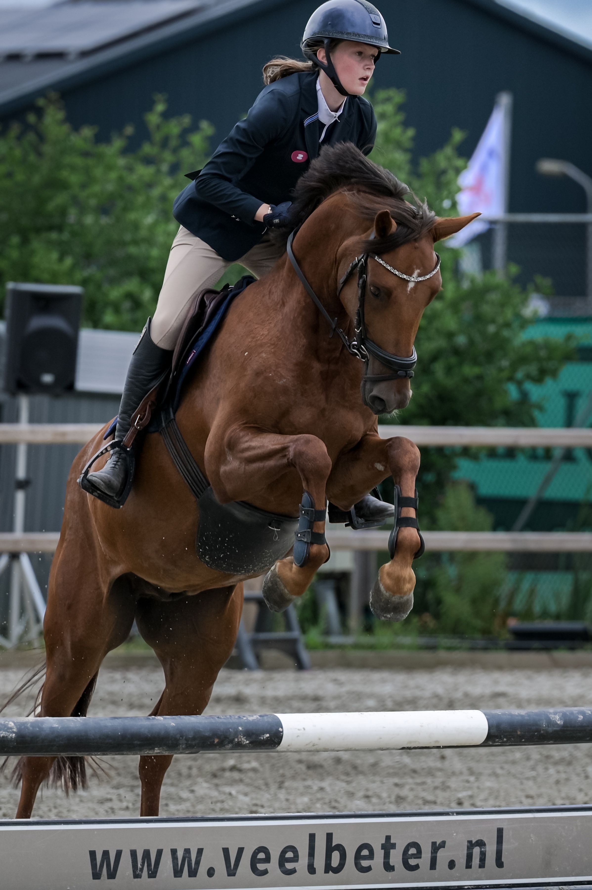springpony ruin 4 år vos till salu - Foto 2