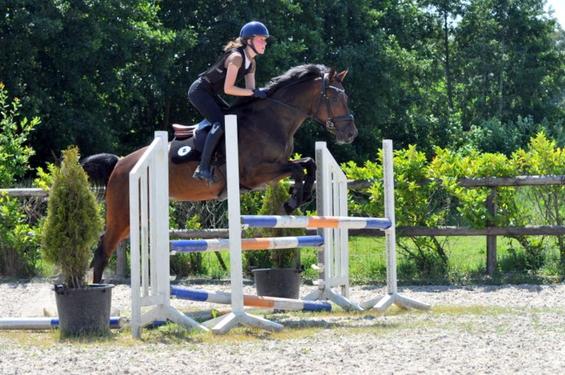 poney frumos de sărituri