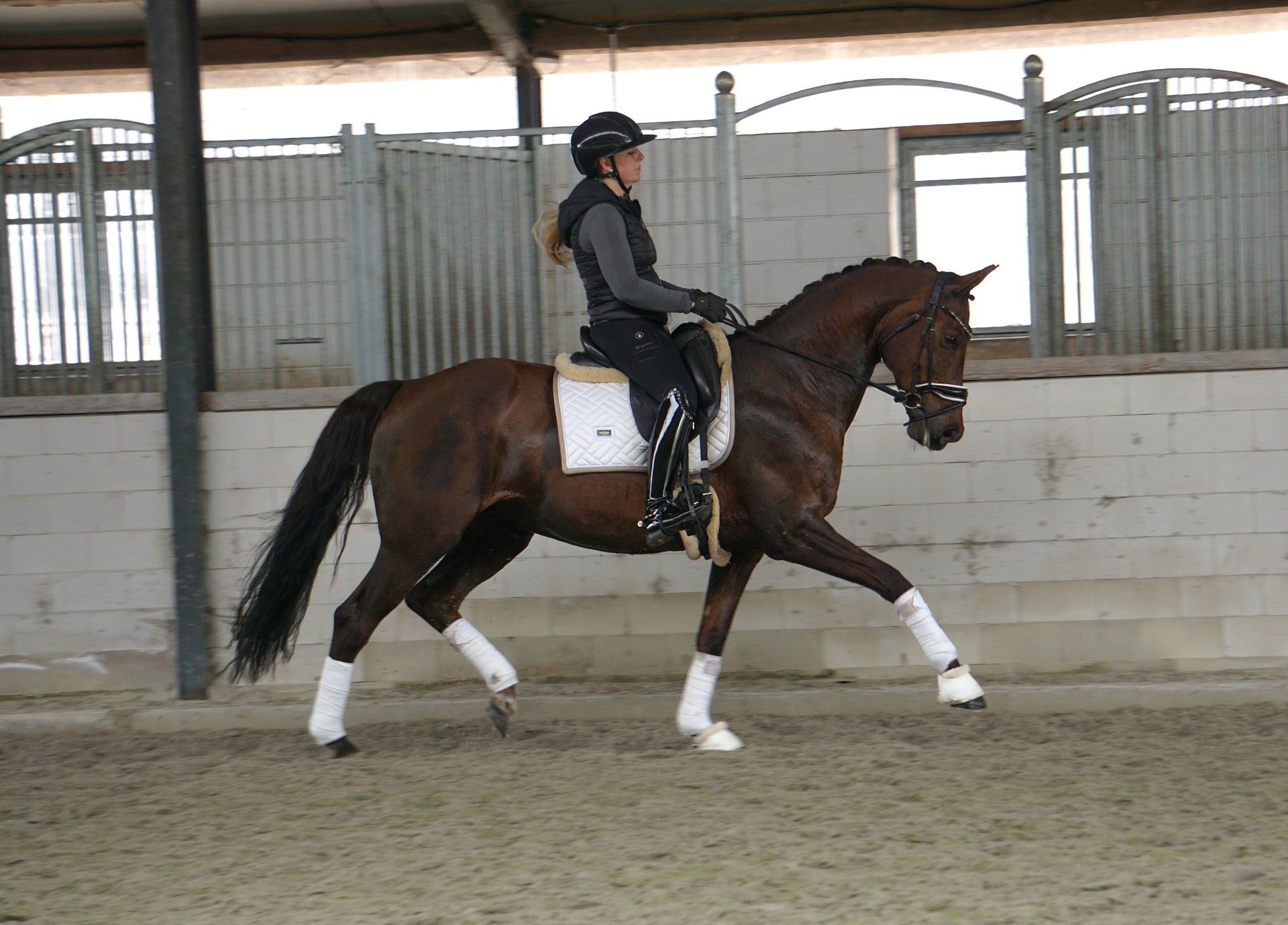 kwpn dressuurpaard ruin 4 ans zwart à vendre - Photo 4