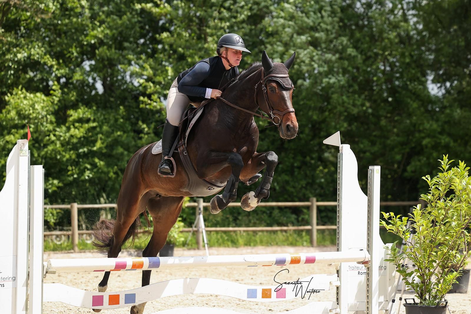 Talented 5-year-old jumping mare