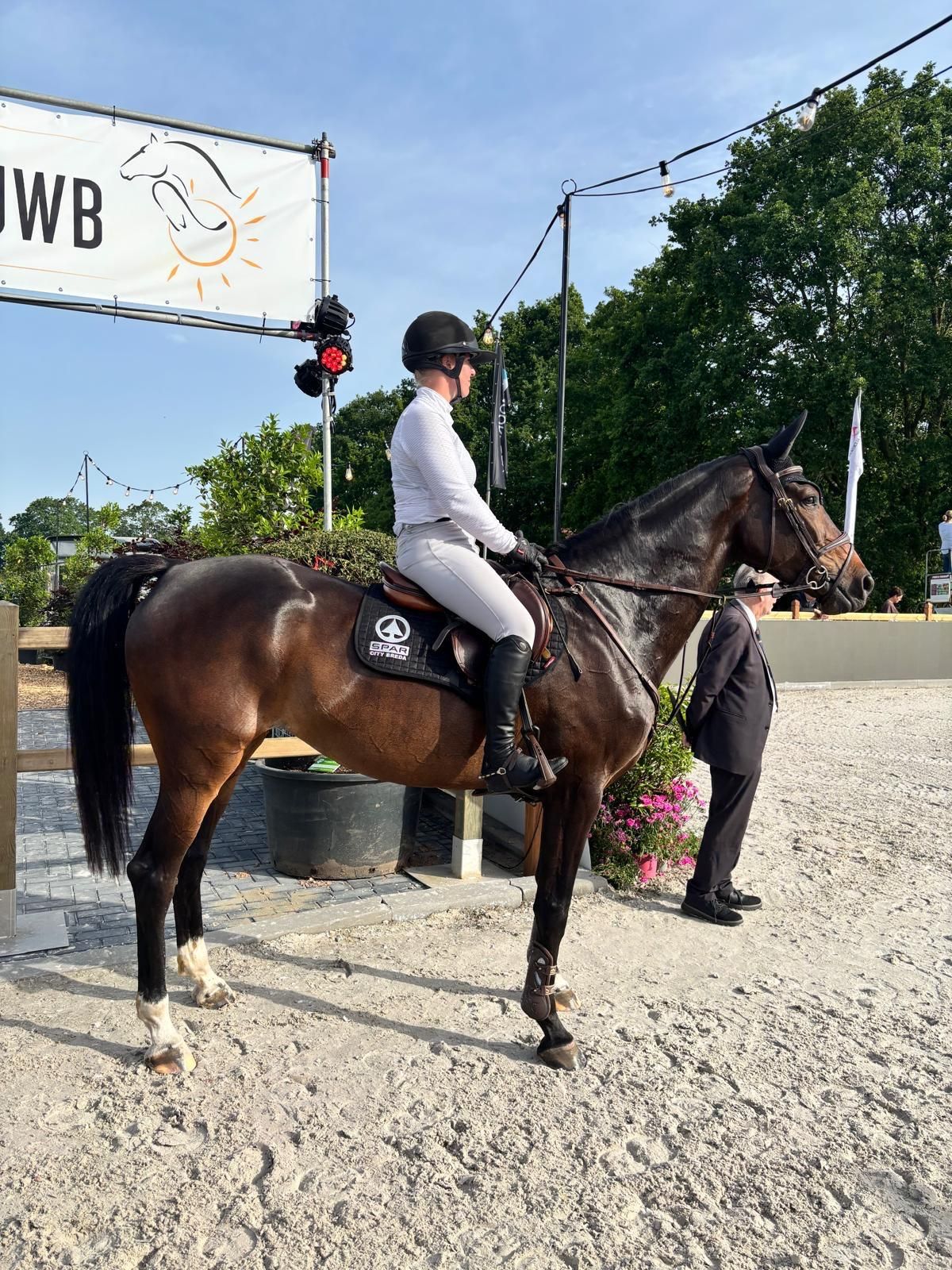 kwpn springpaard merrie 5 years old donkerbruin for sale - Photo 2