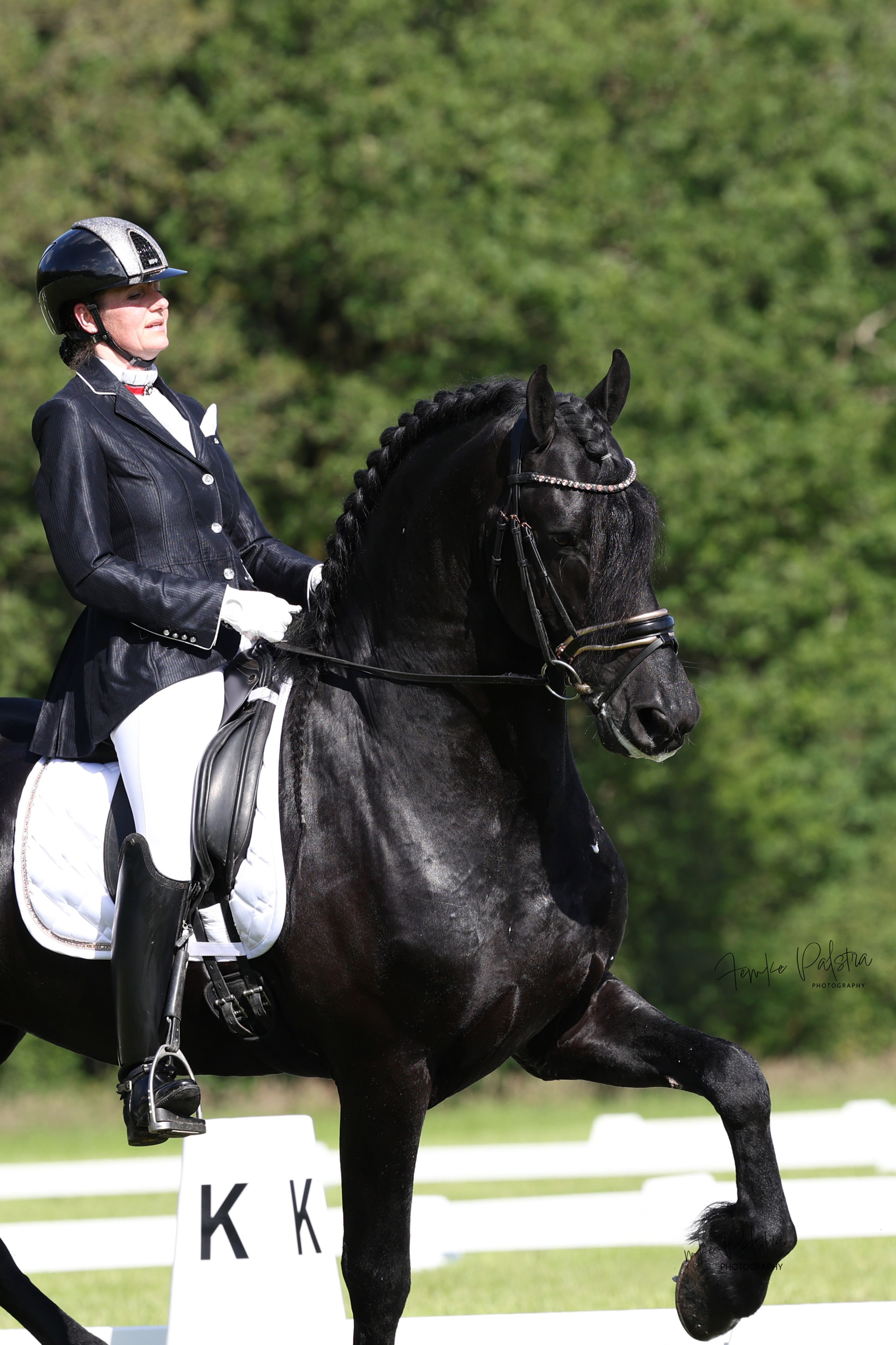 Goed bewegende 8 jarige Friese hengst  1.72 SPORT AA